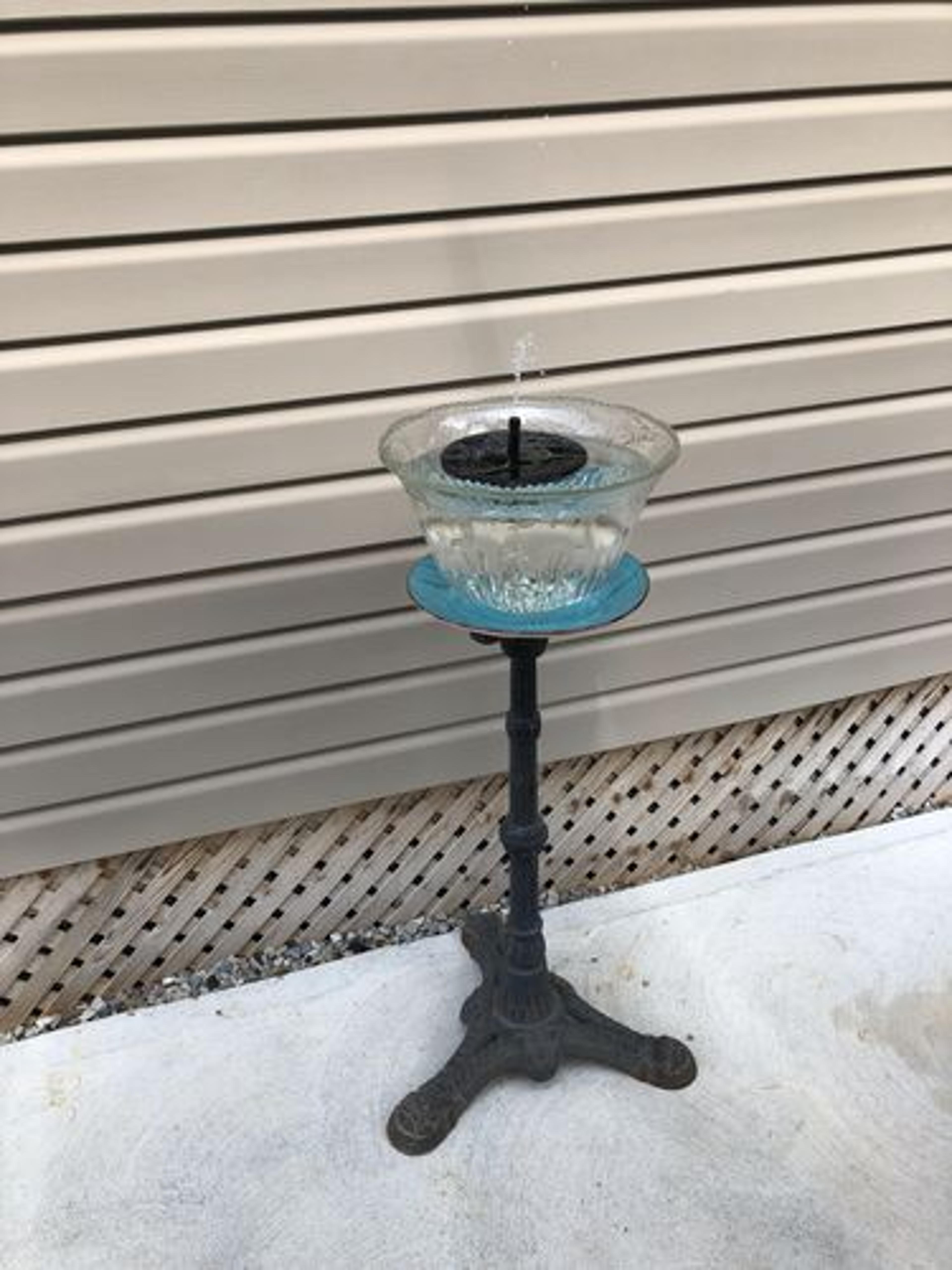 Customer Review Photo