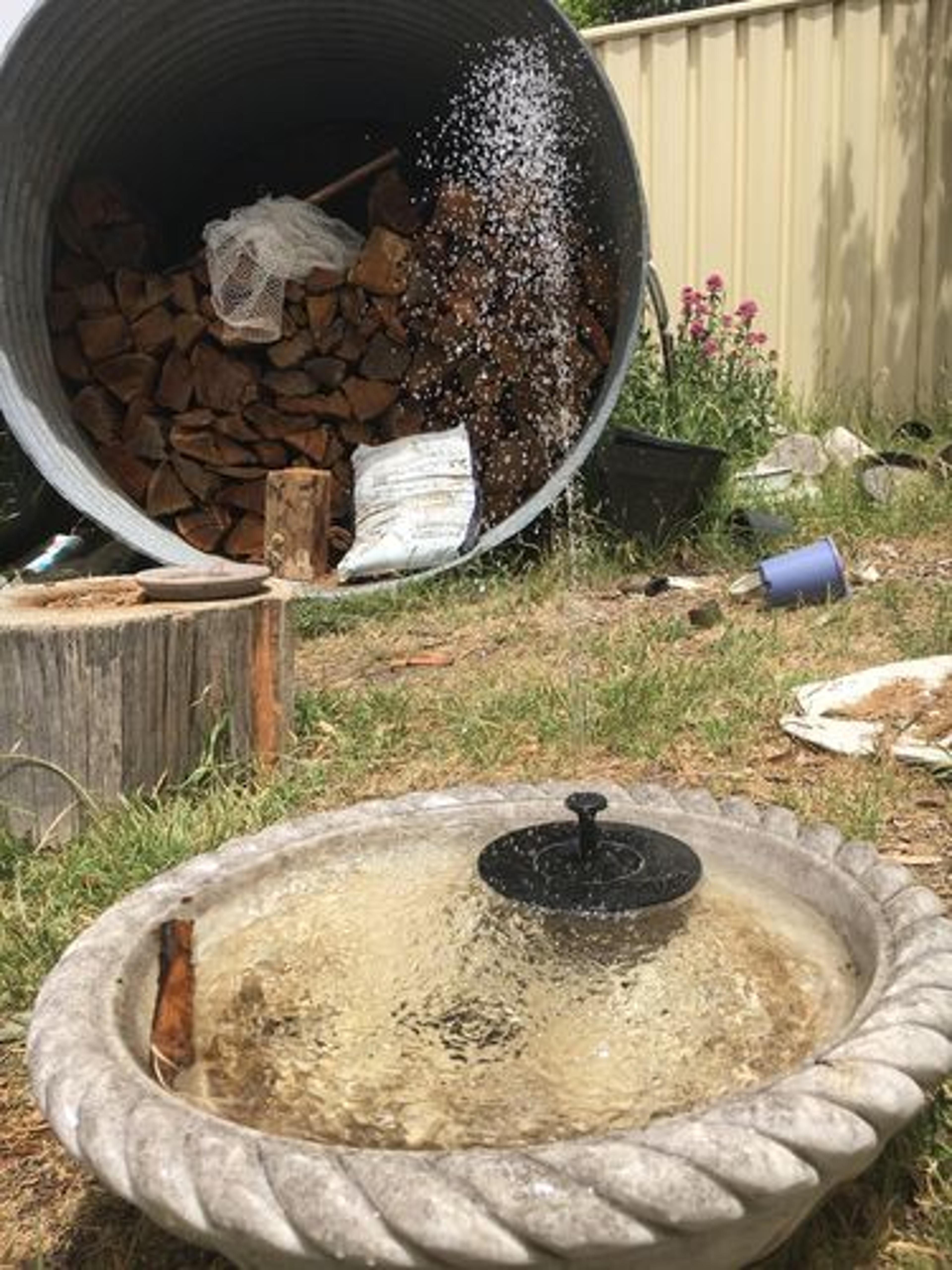 Customer Review Photo