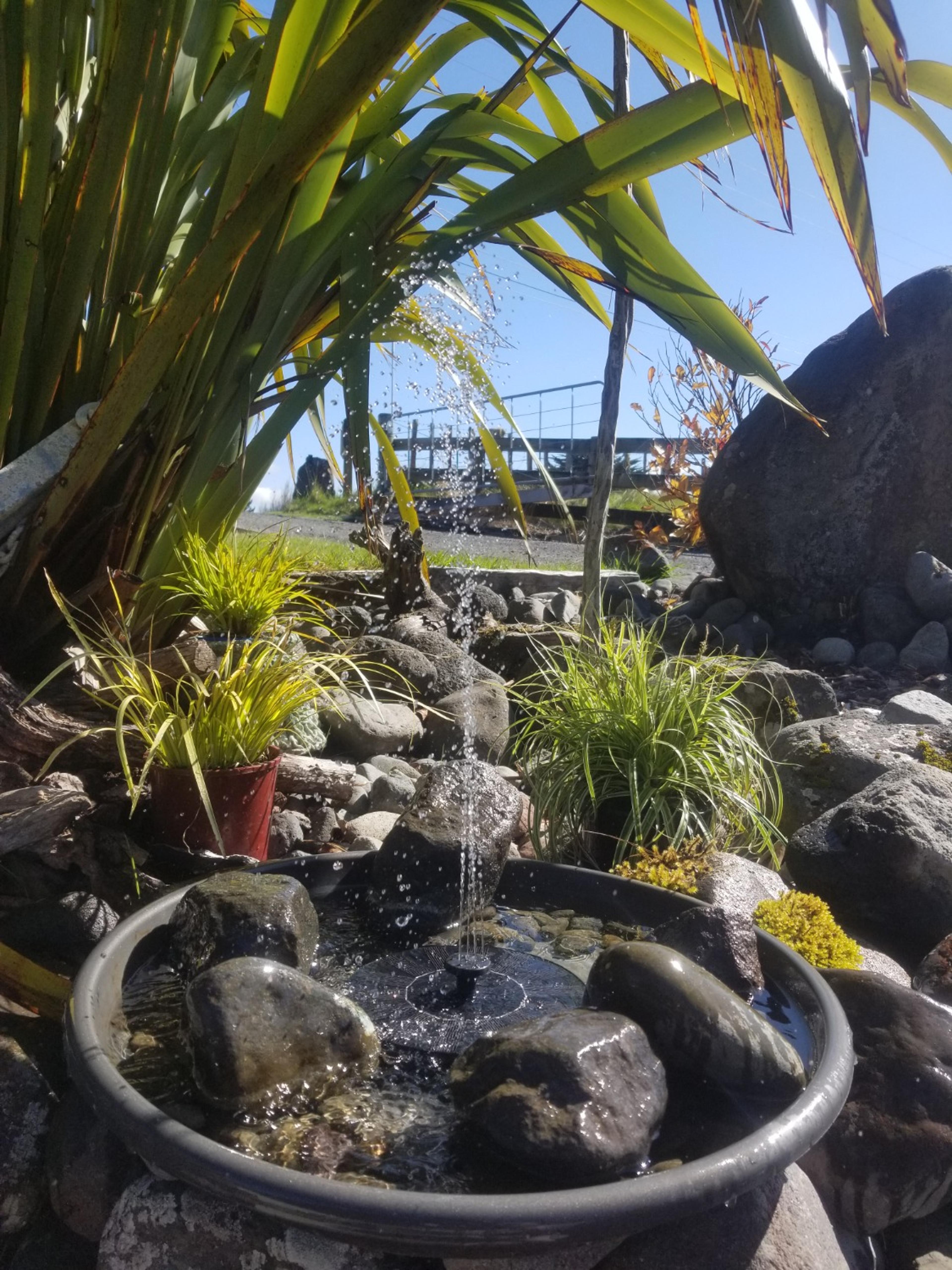 Customer Review Photo