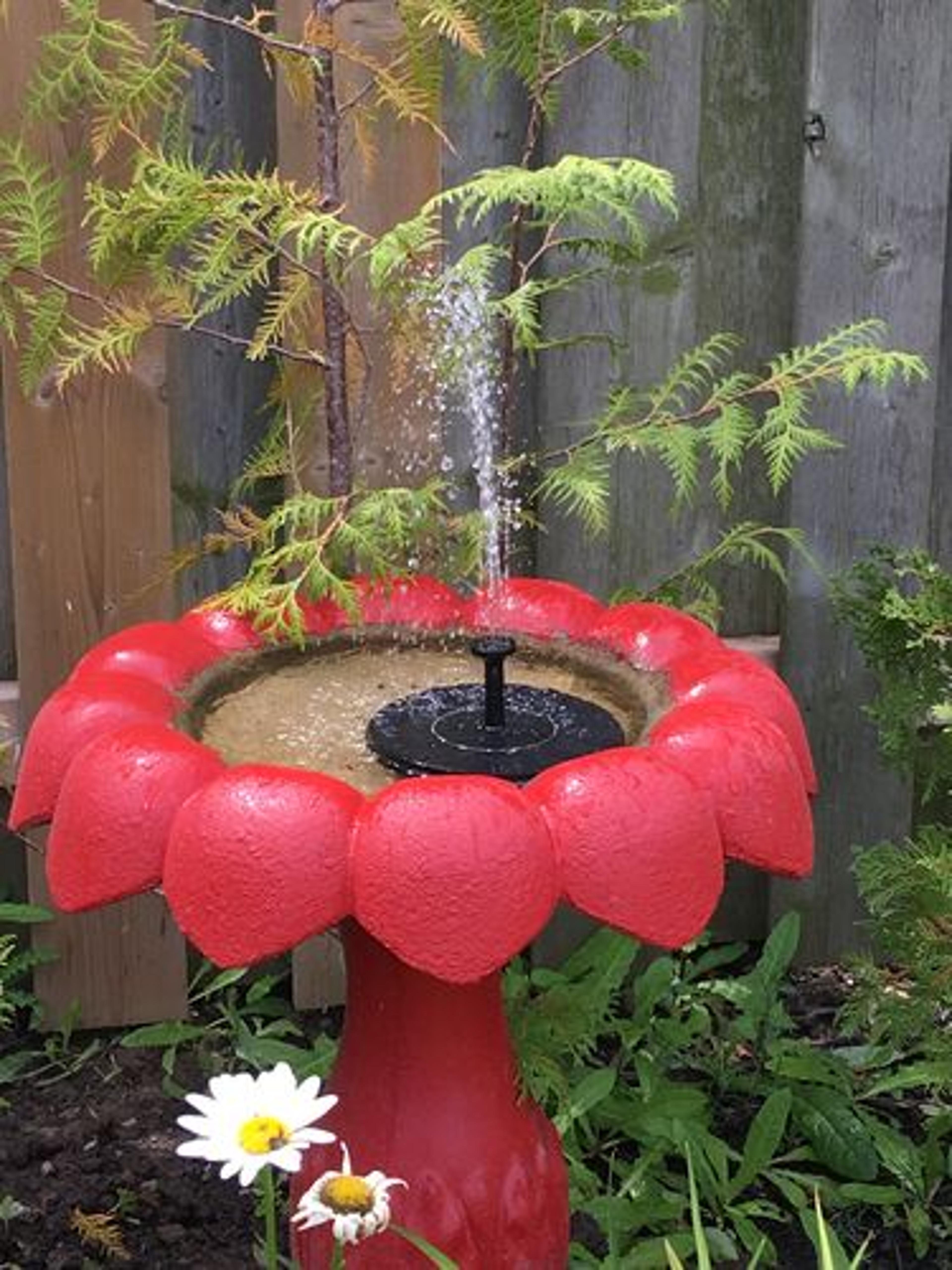 Customer Review Photo