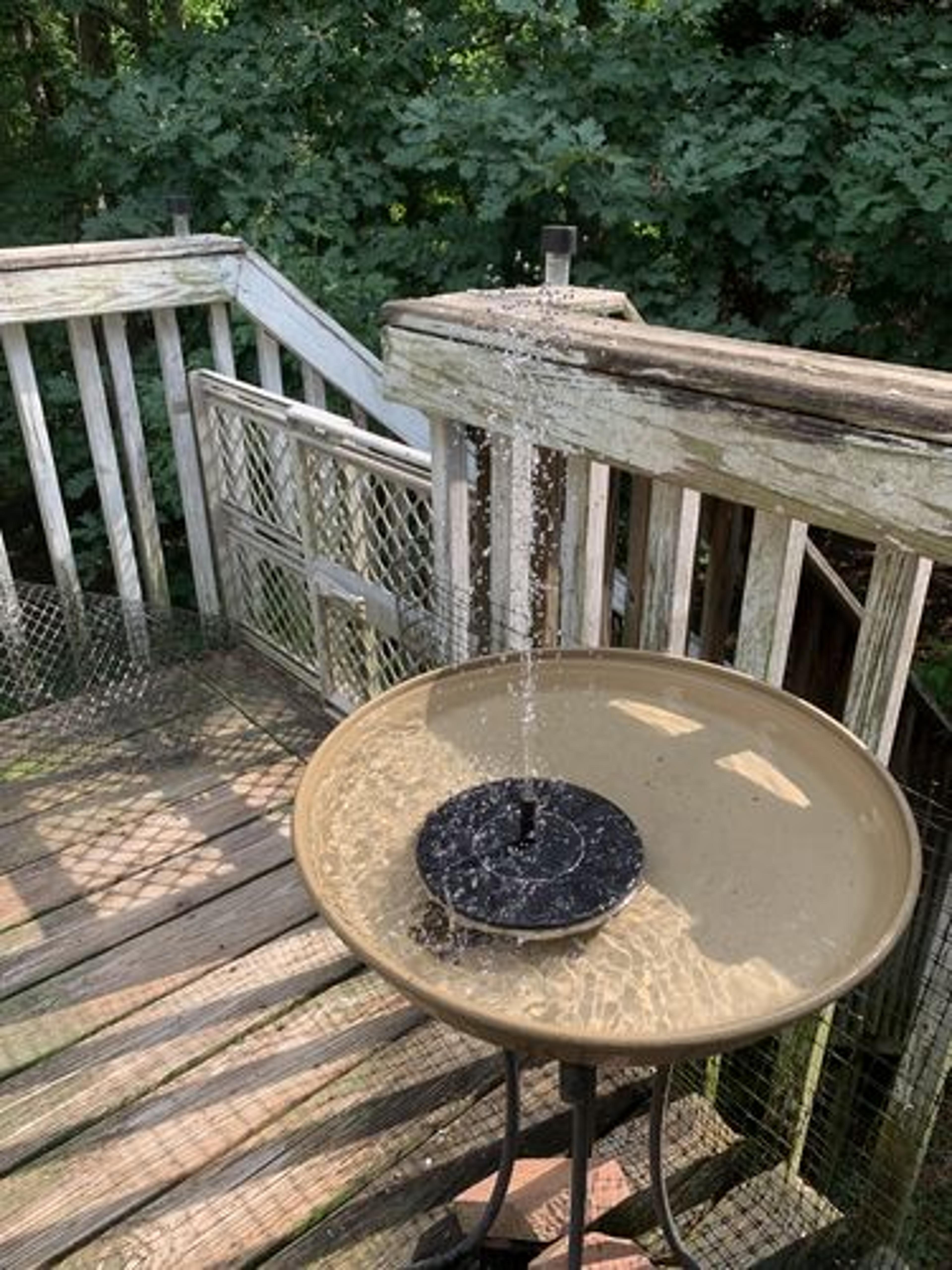 Customer Review Photo