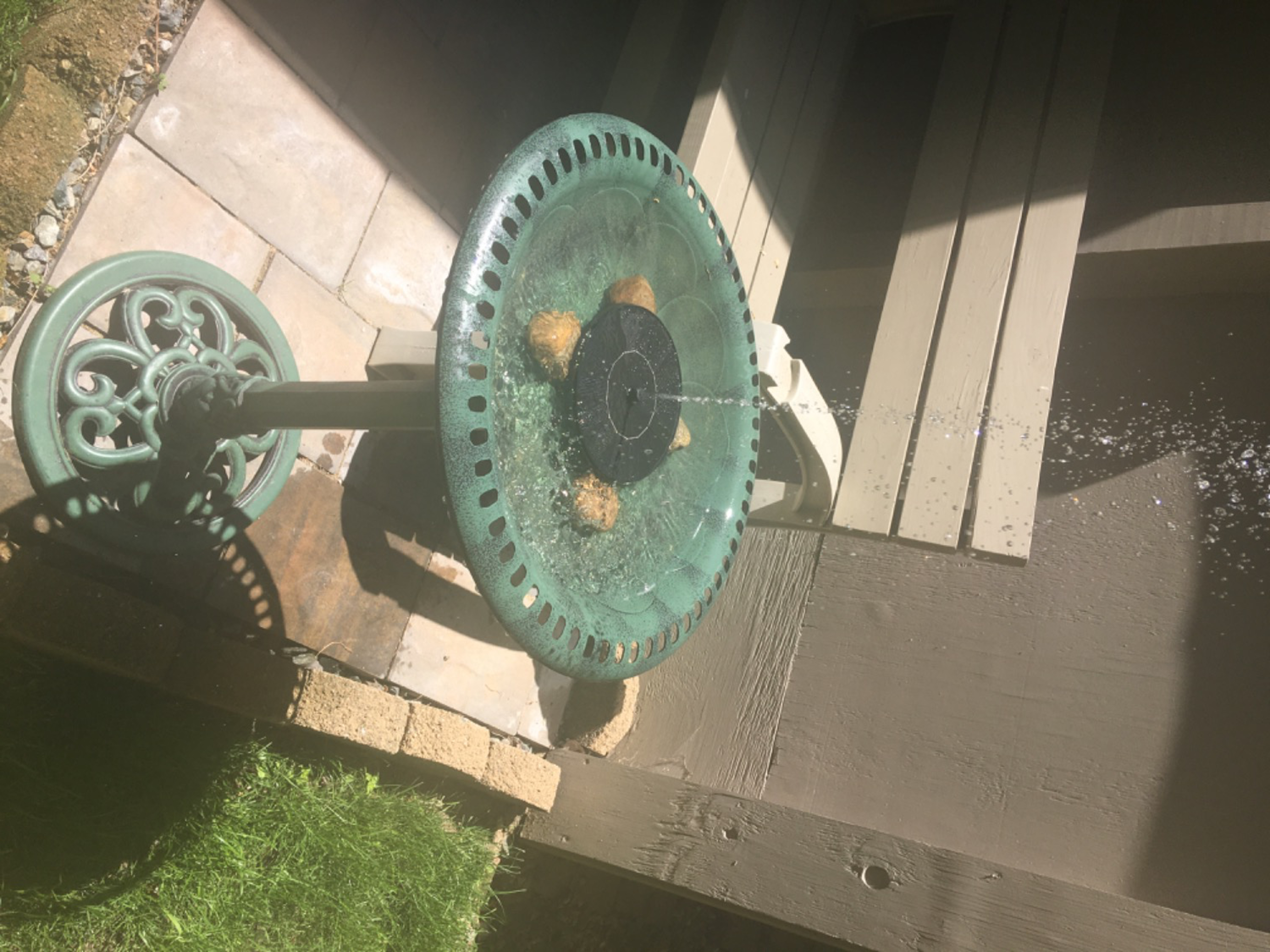 Customer Review Photo