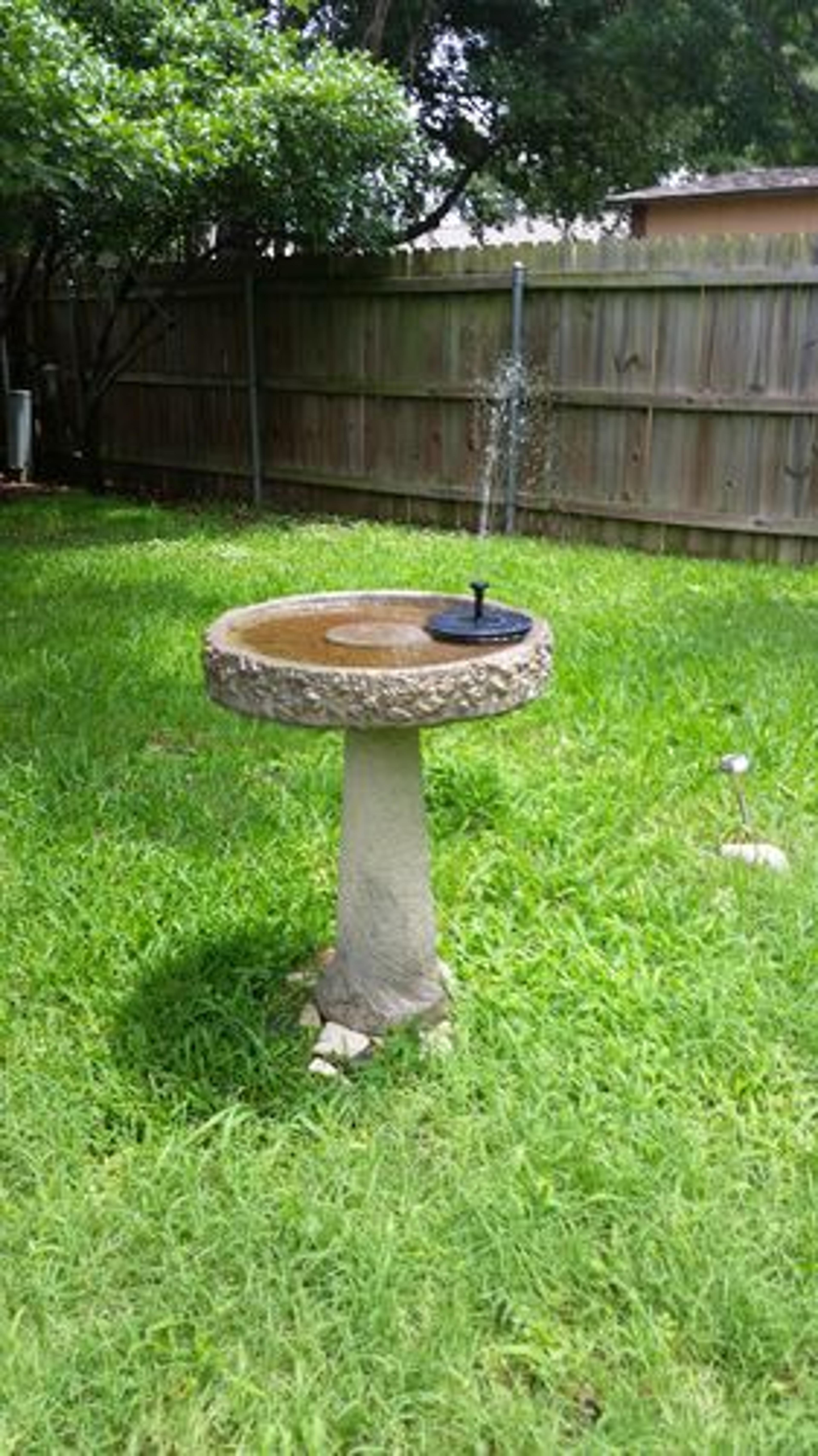 Customer Review Photo