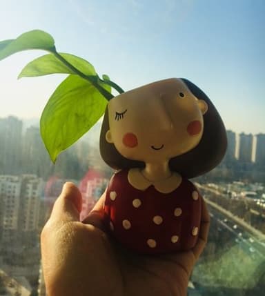 review image 1