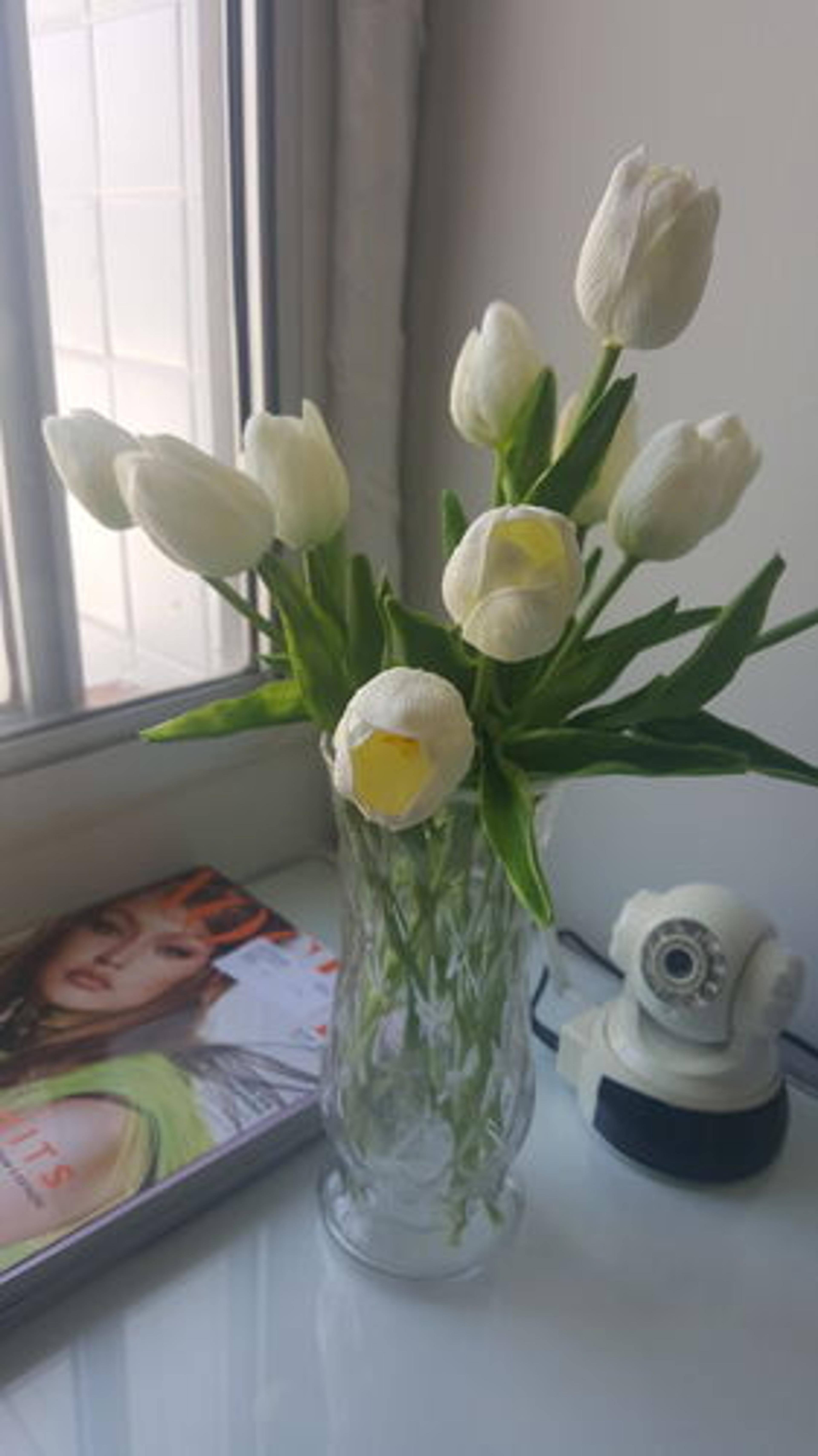 Customer Review Photo
