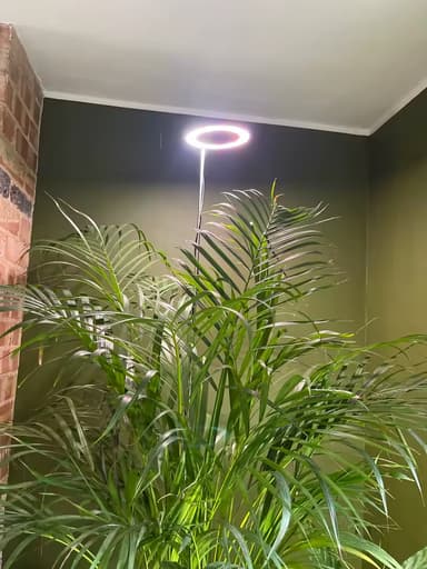 review image 1