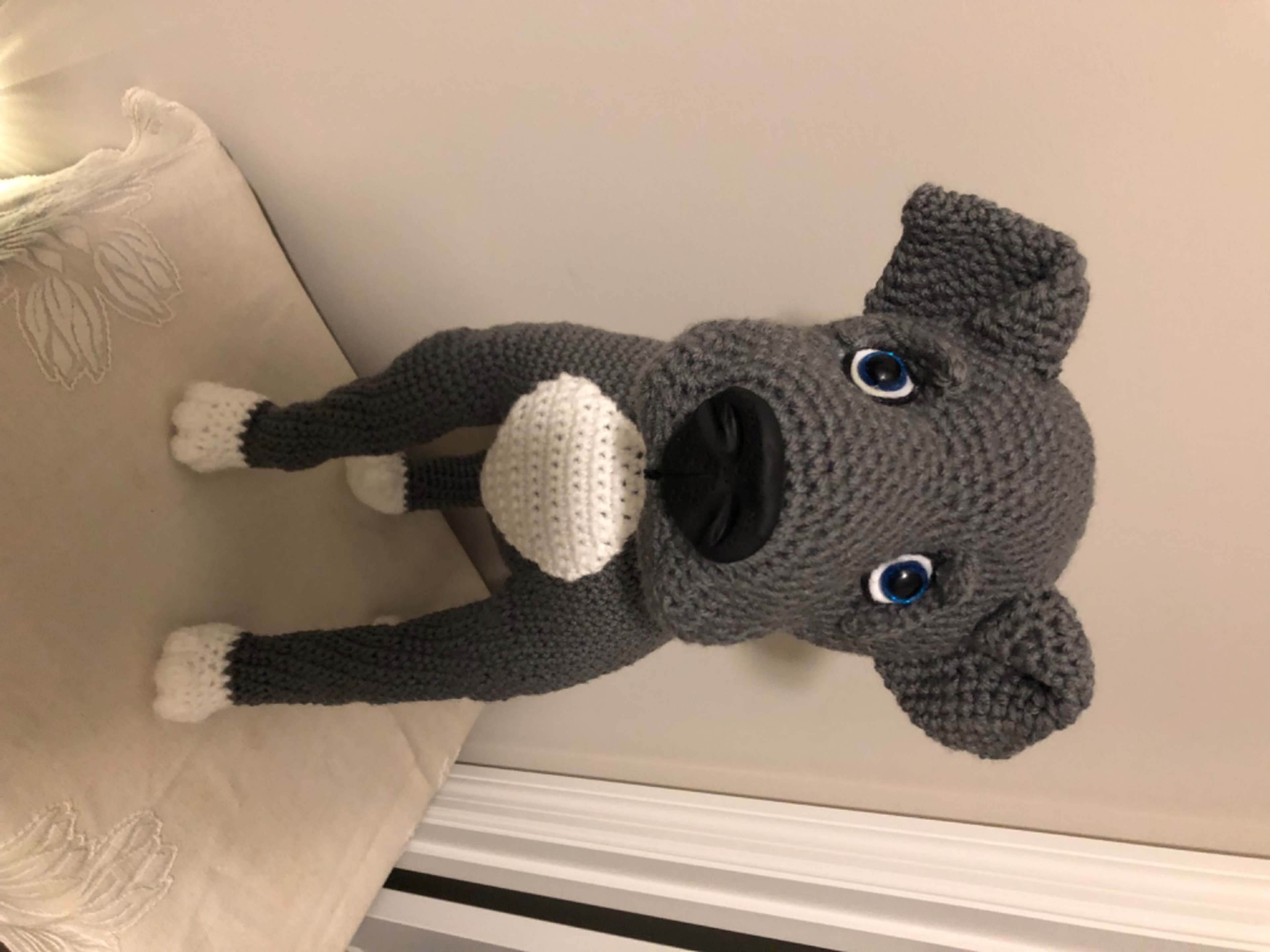 Customer Review Photo