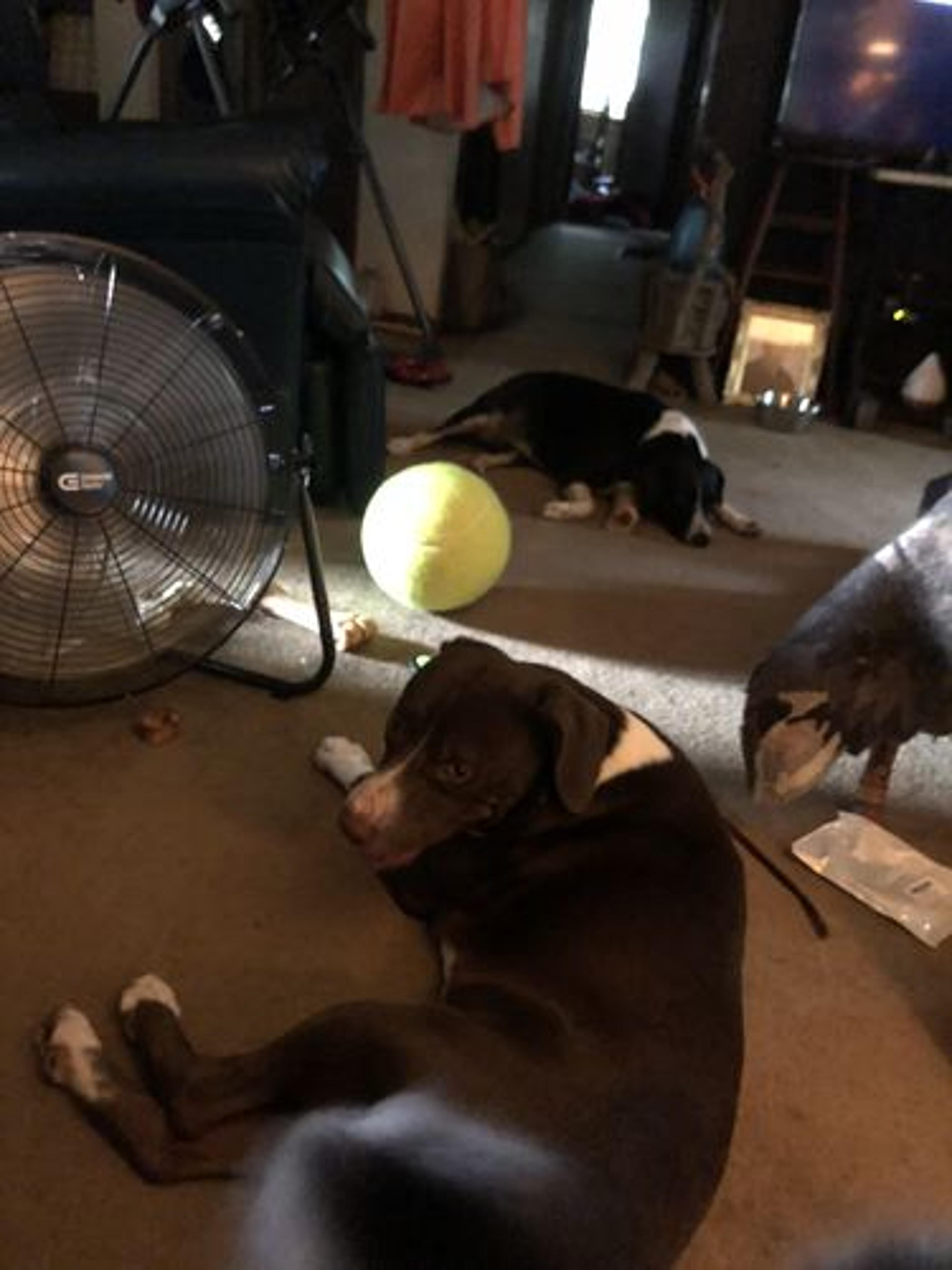 Customer Review Photo