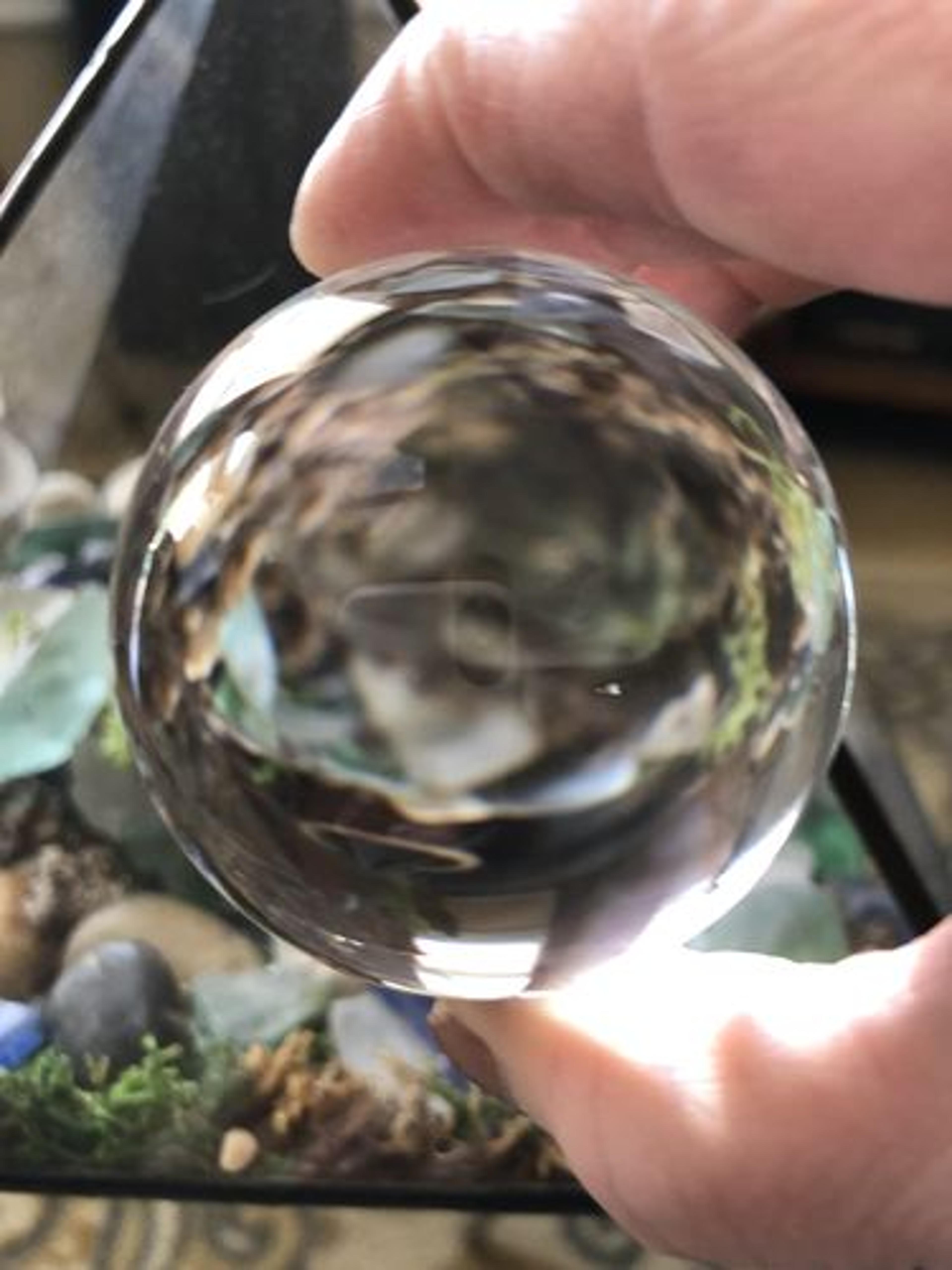 Customer Review Photo