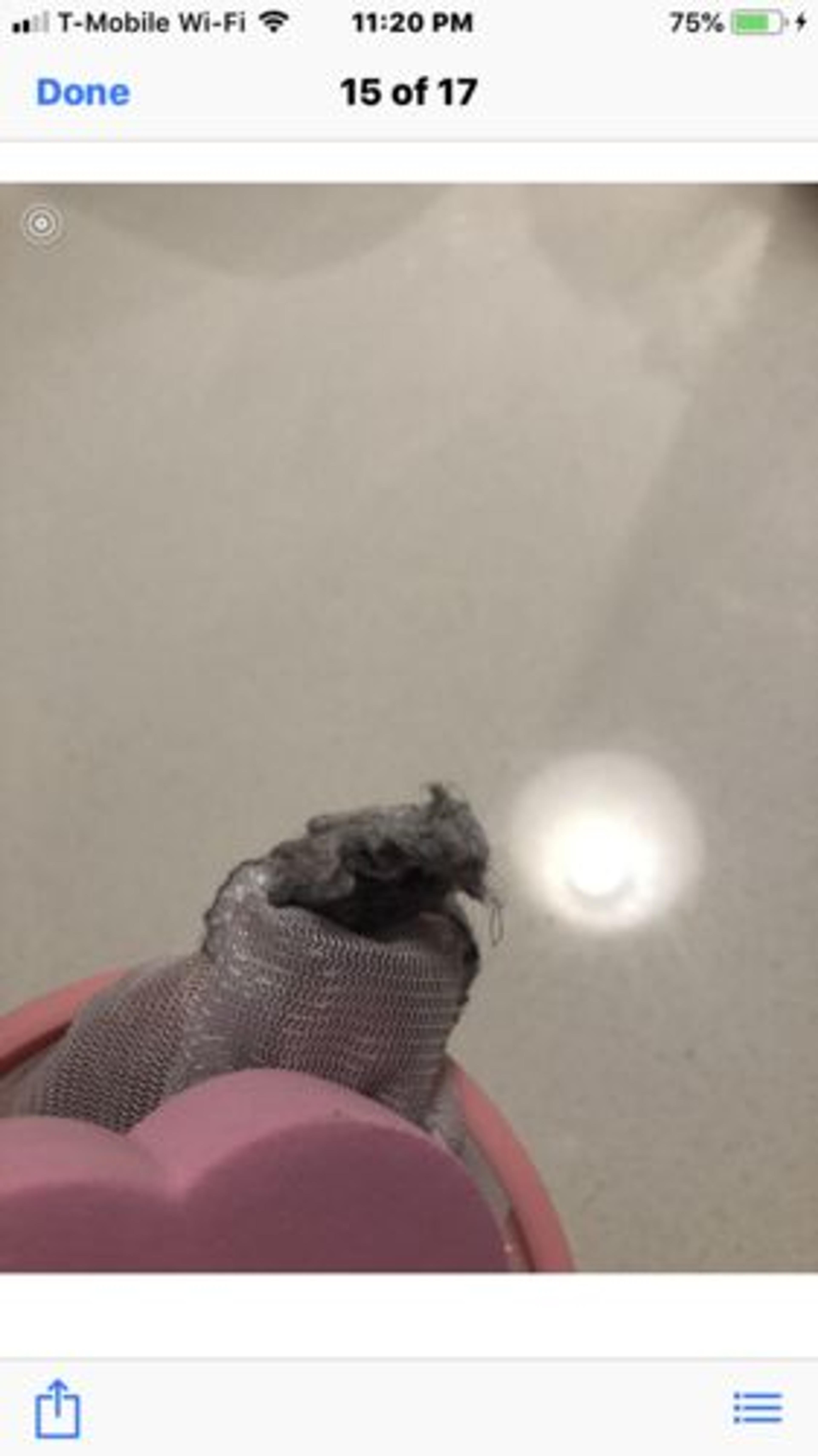 Customer Review Photo