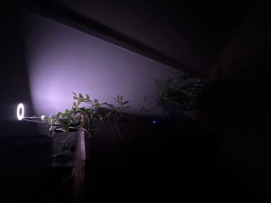 review image 2