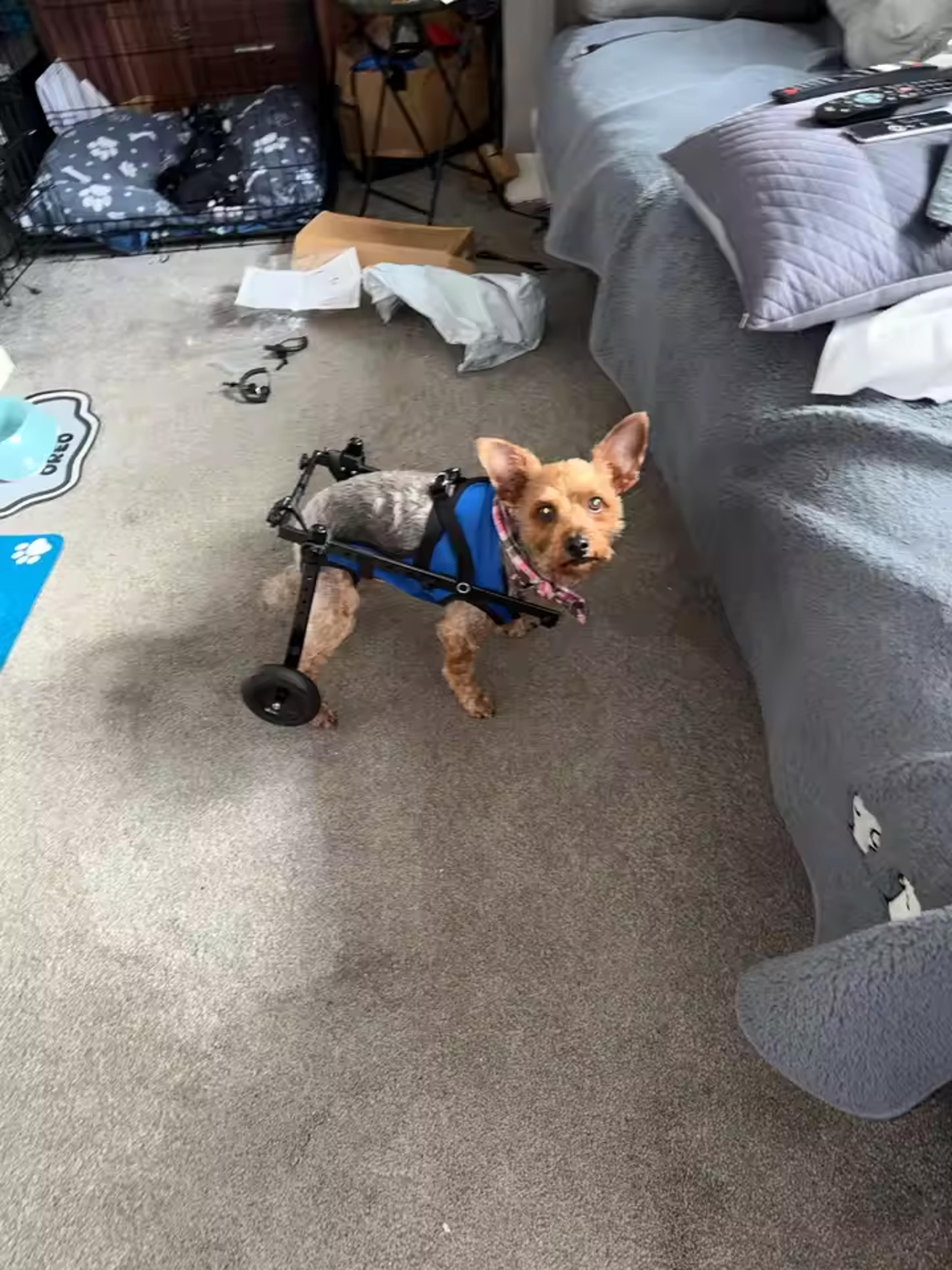 Customer Review Photo