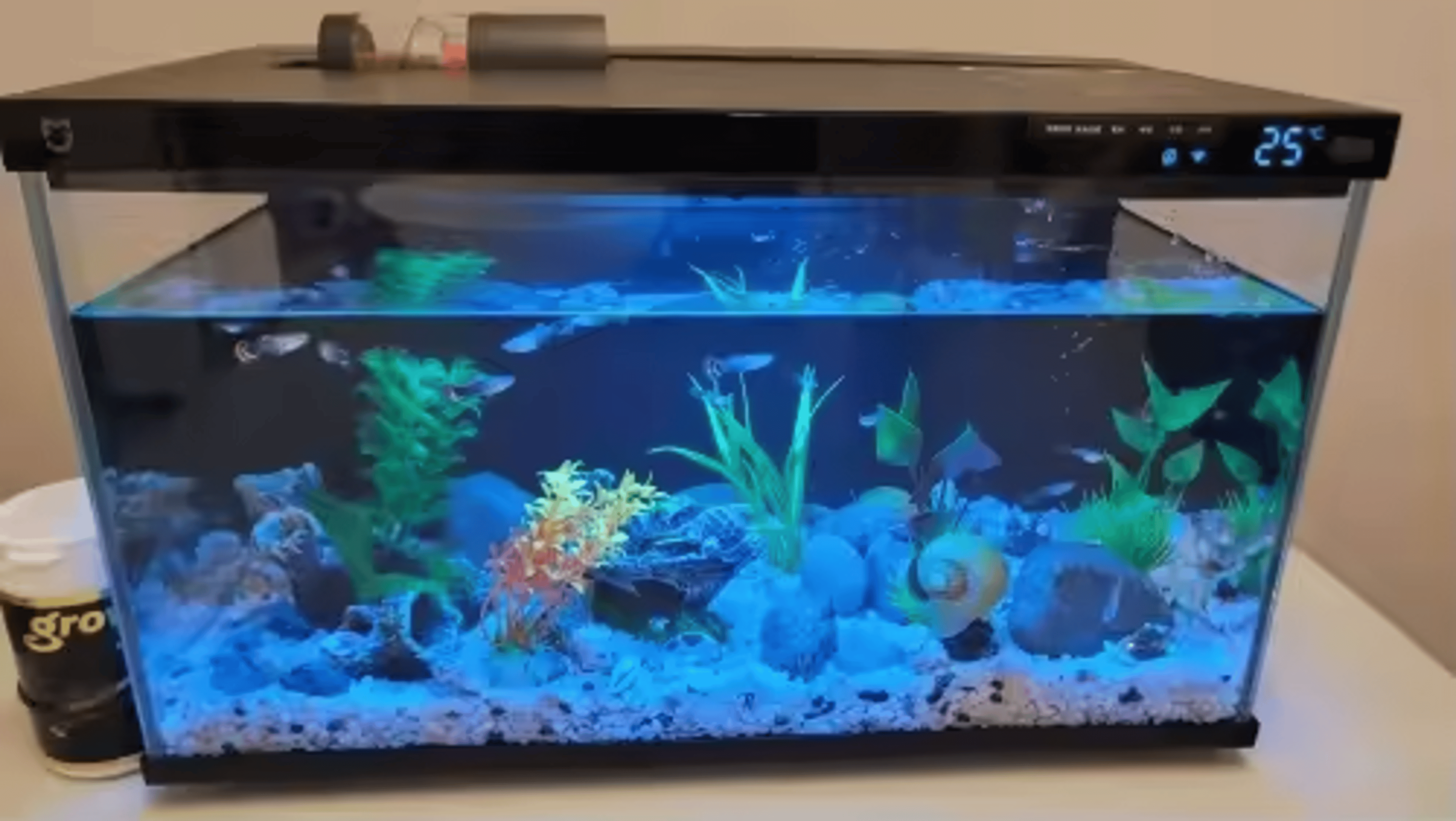 Customer Review Photo