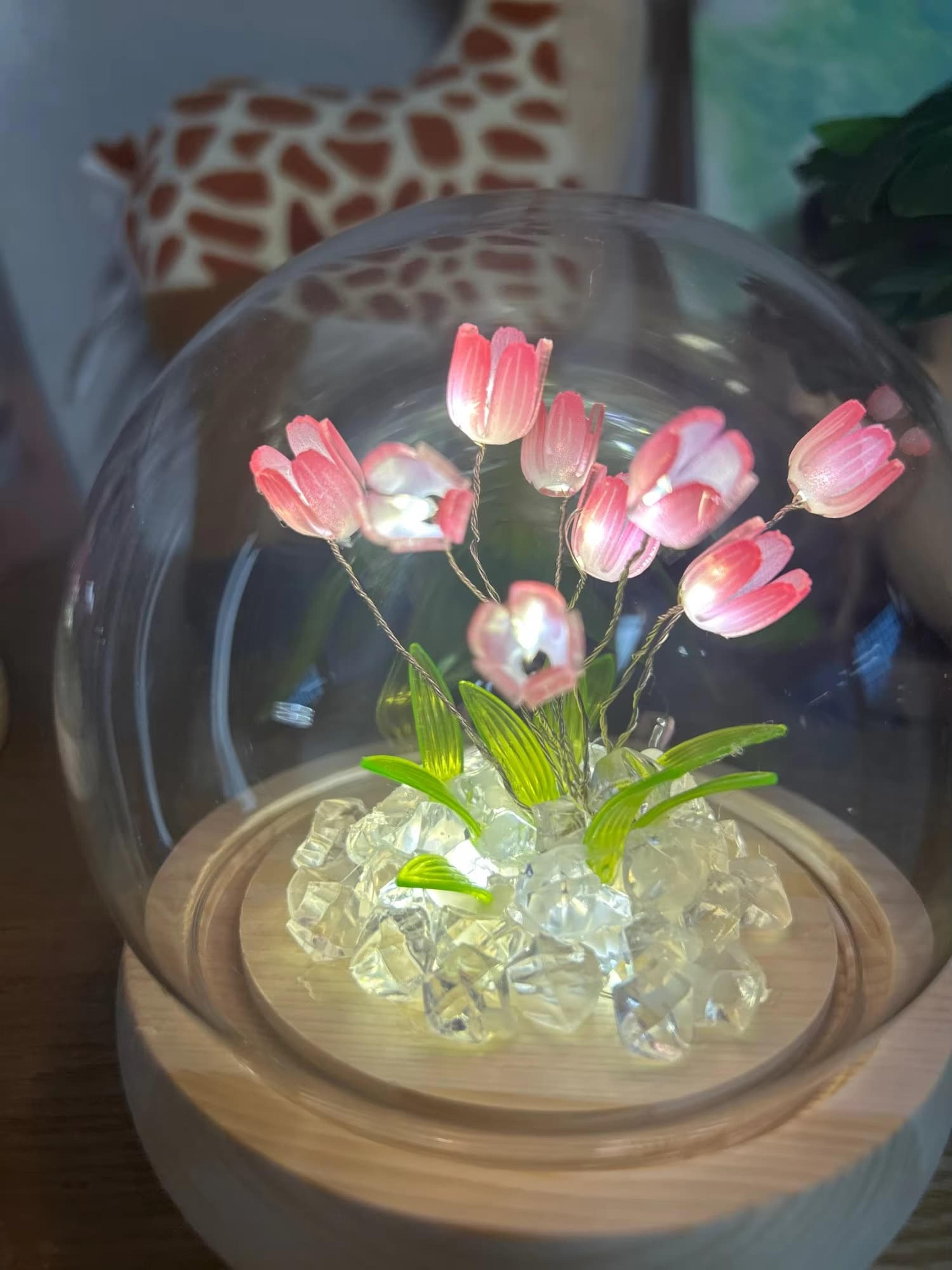 Customer Review Photo