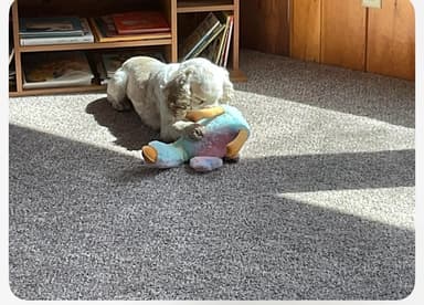 review image 1