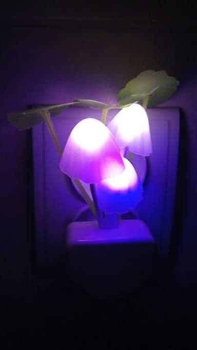 review image 1