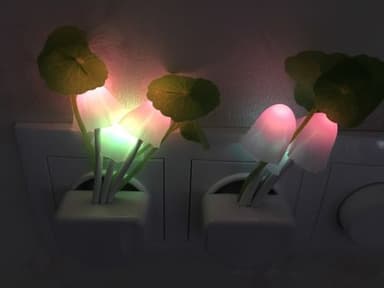 review image 1