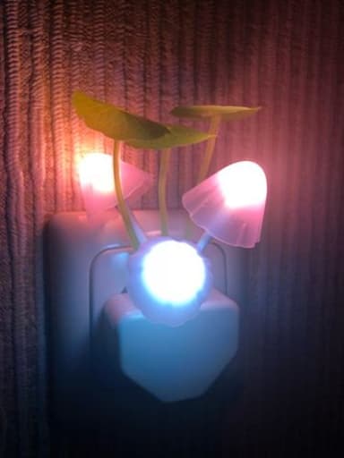 review image 1