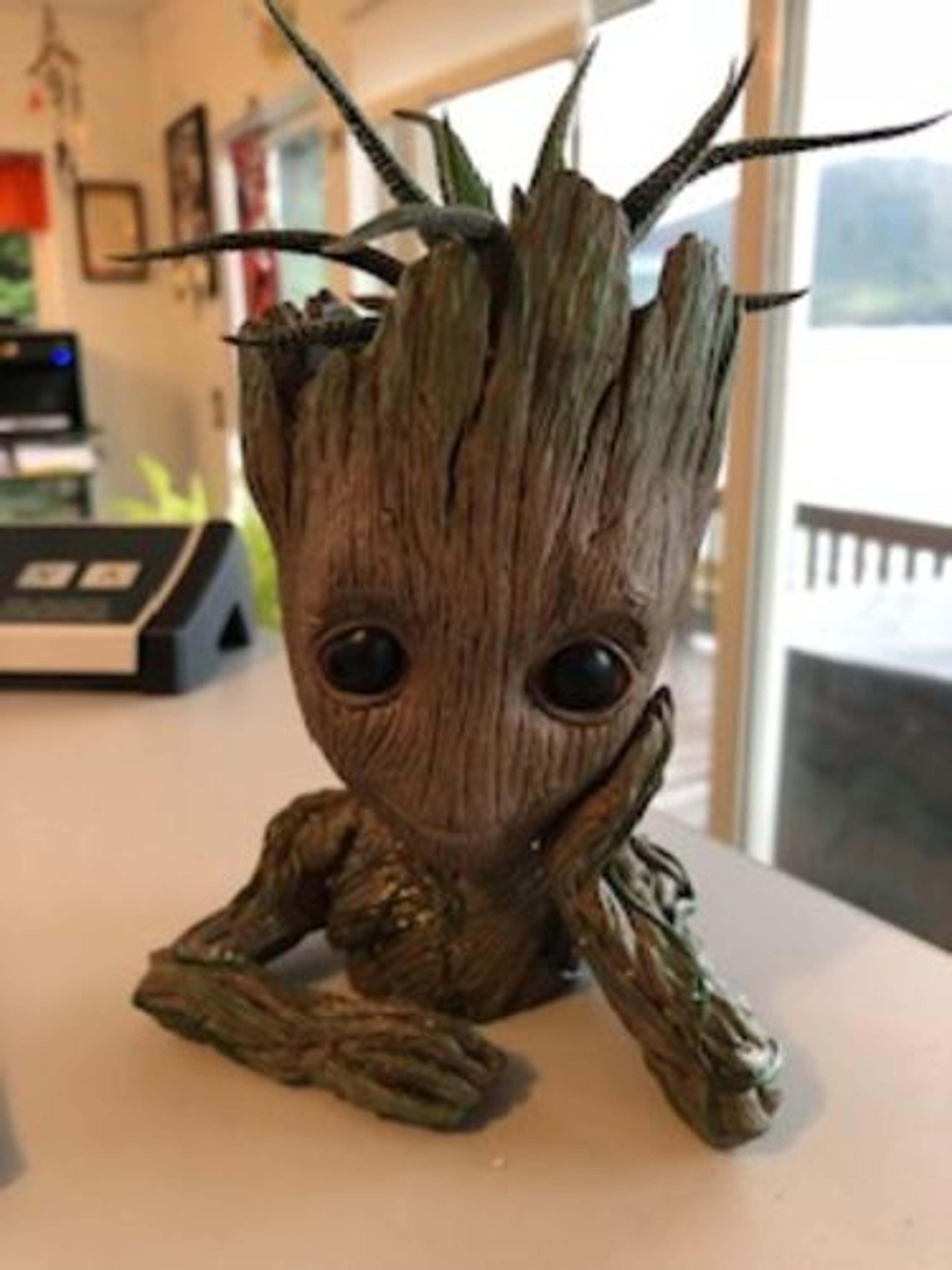 Customer Review Photo