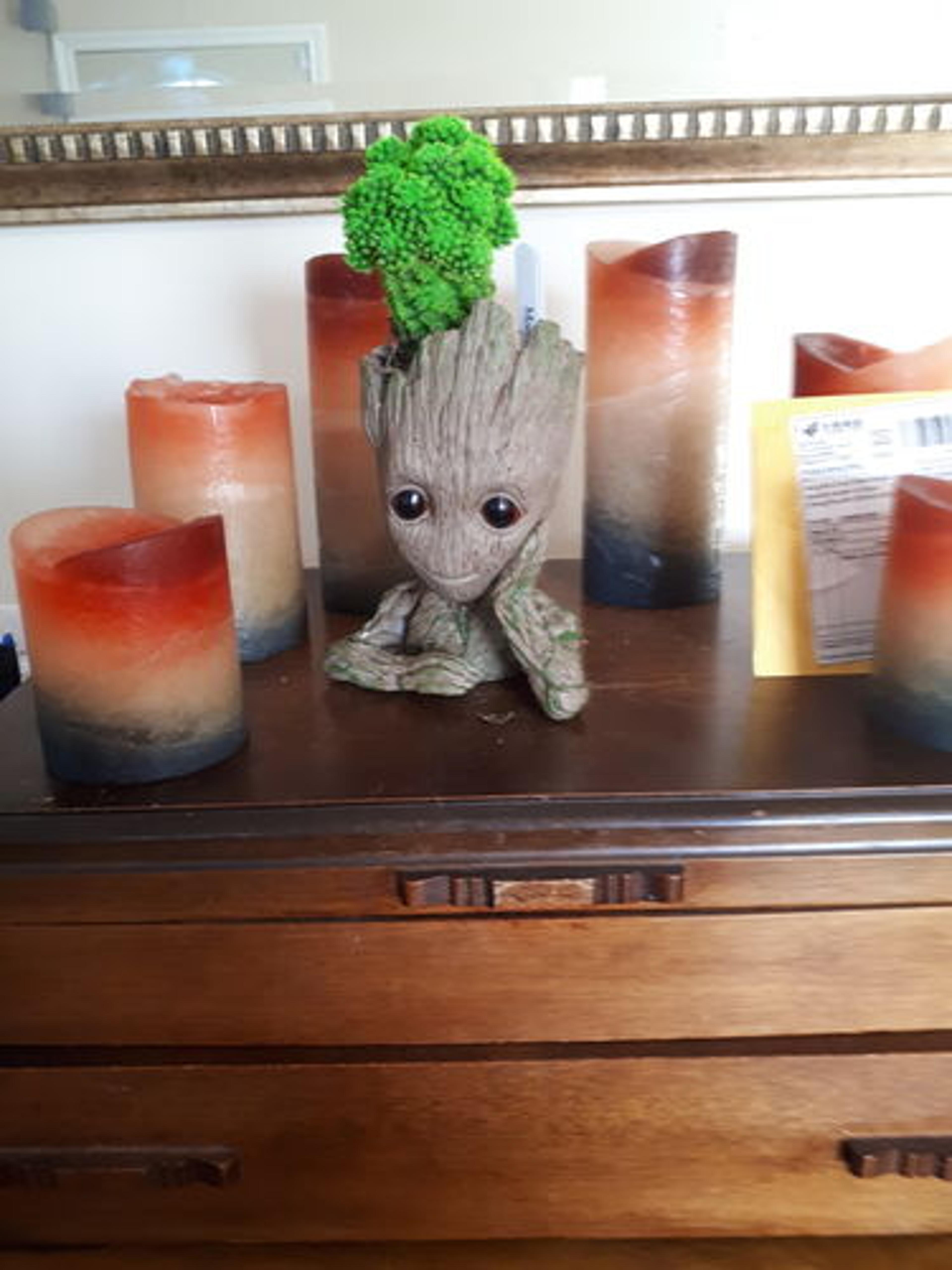 Customer Review Photo