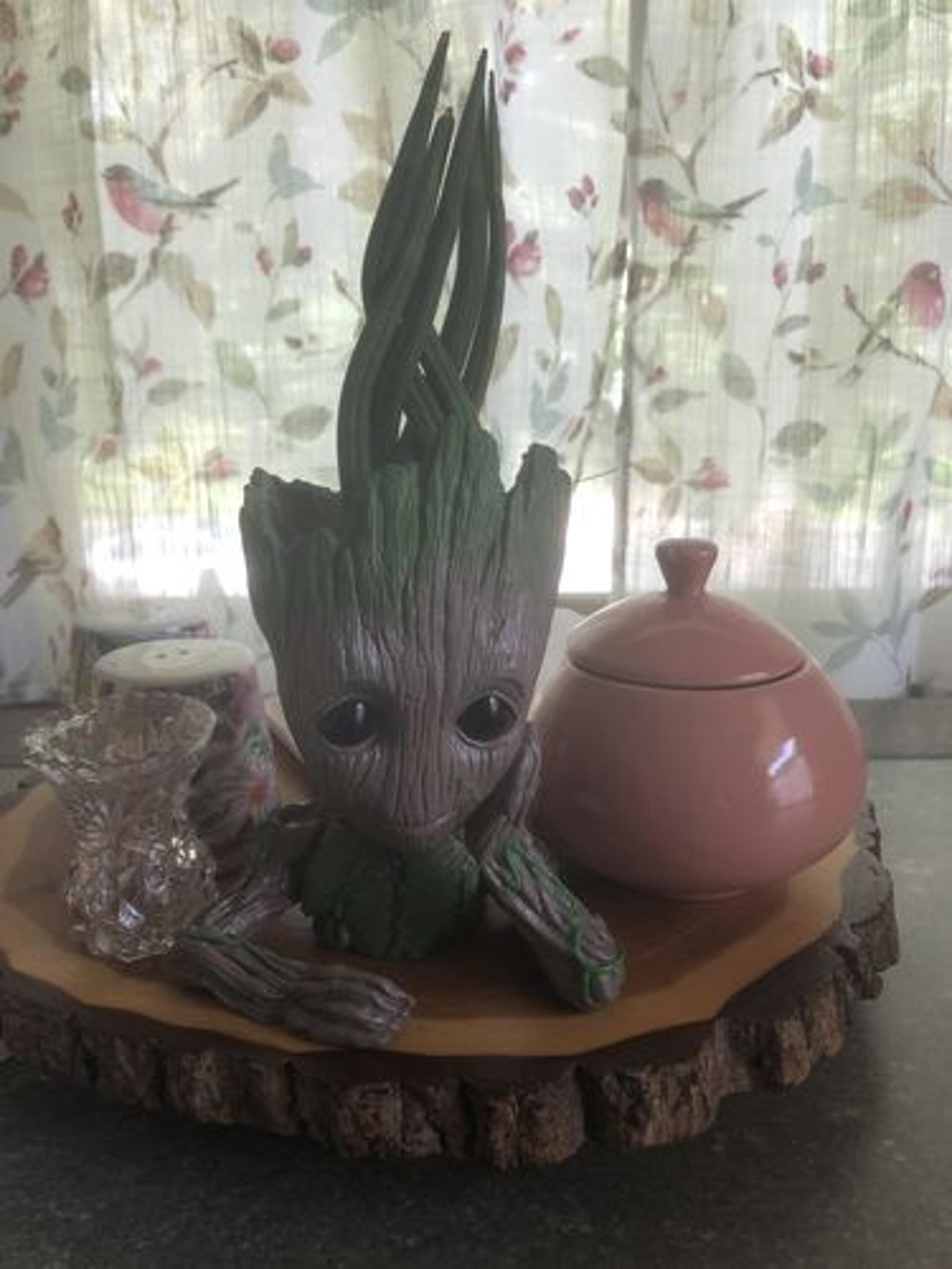 Customer Review Photo