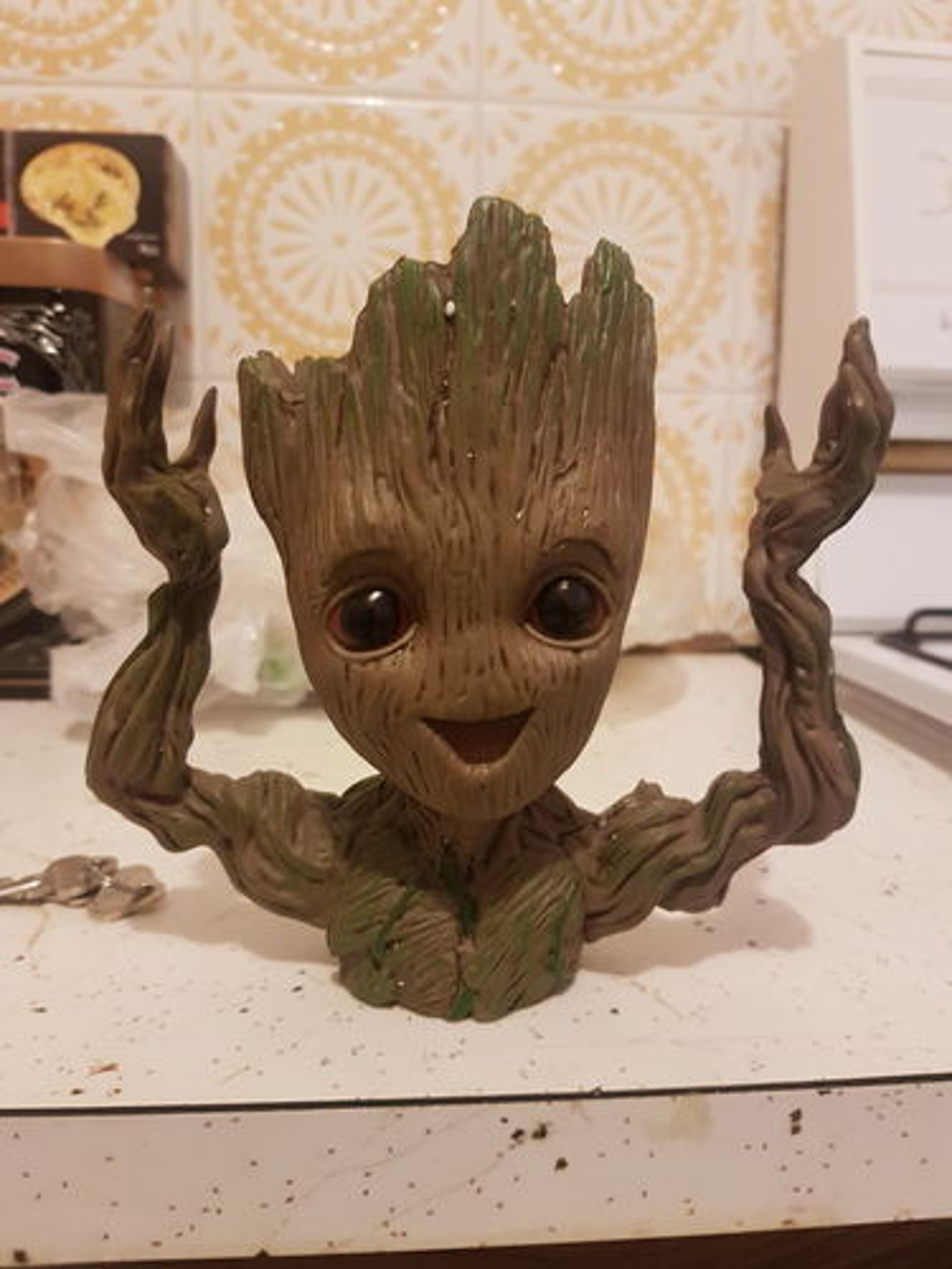 Customer Review Photo