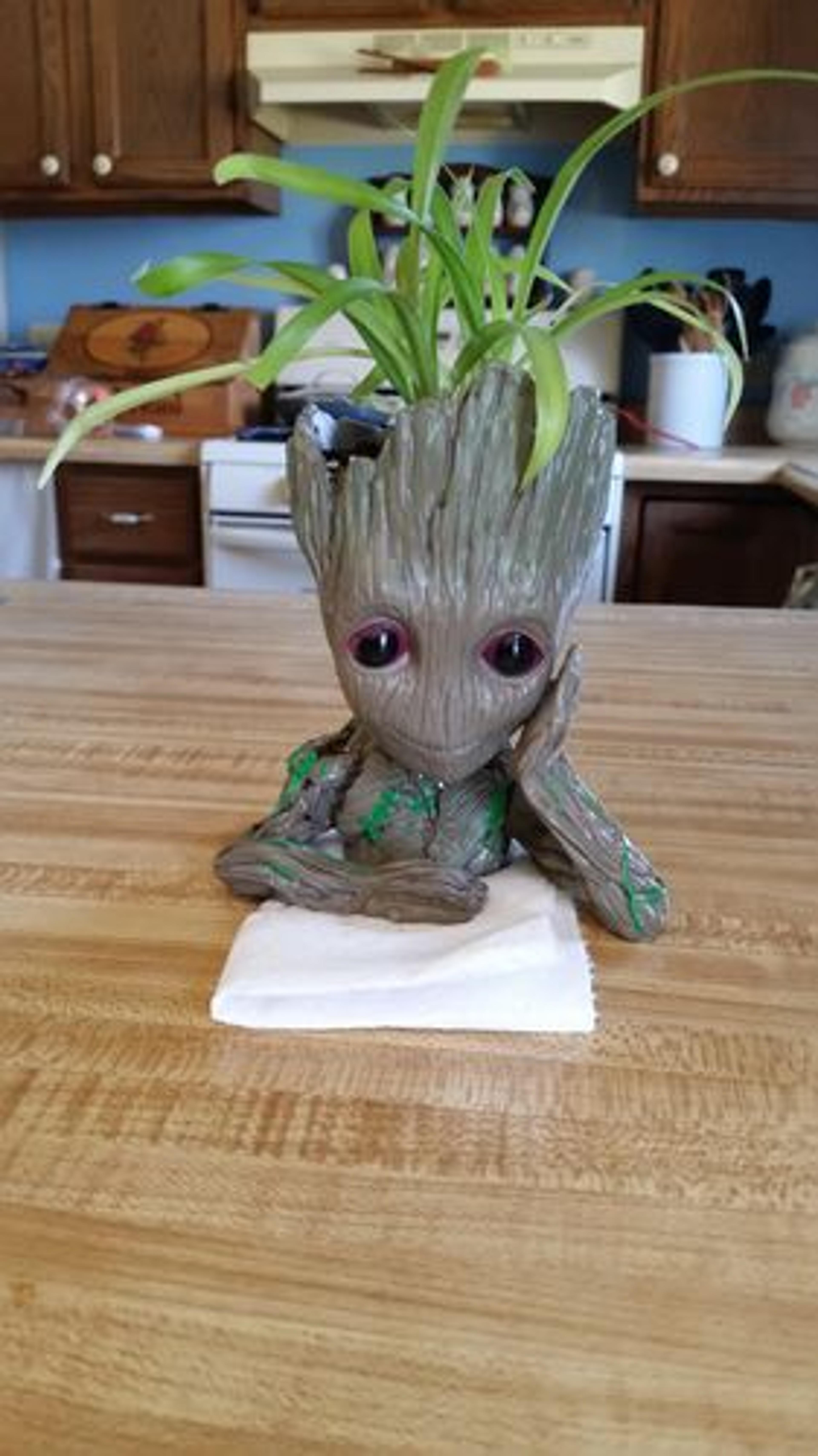 Customer Review Photo