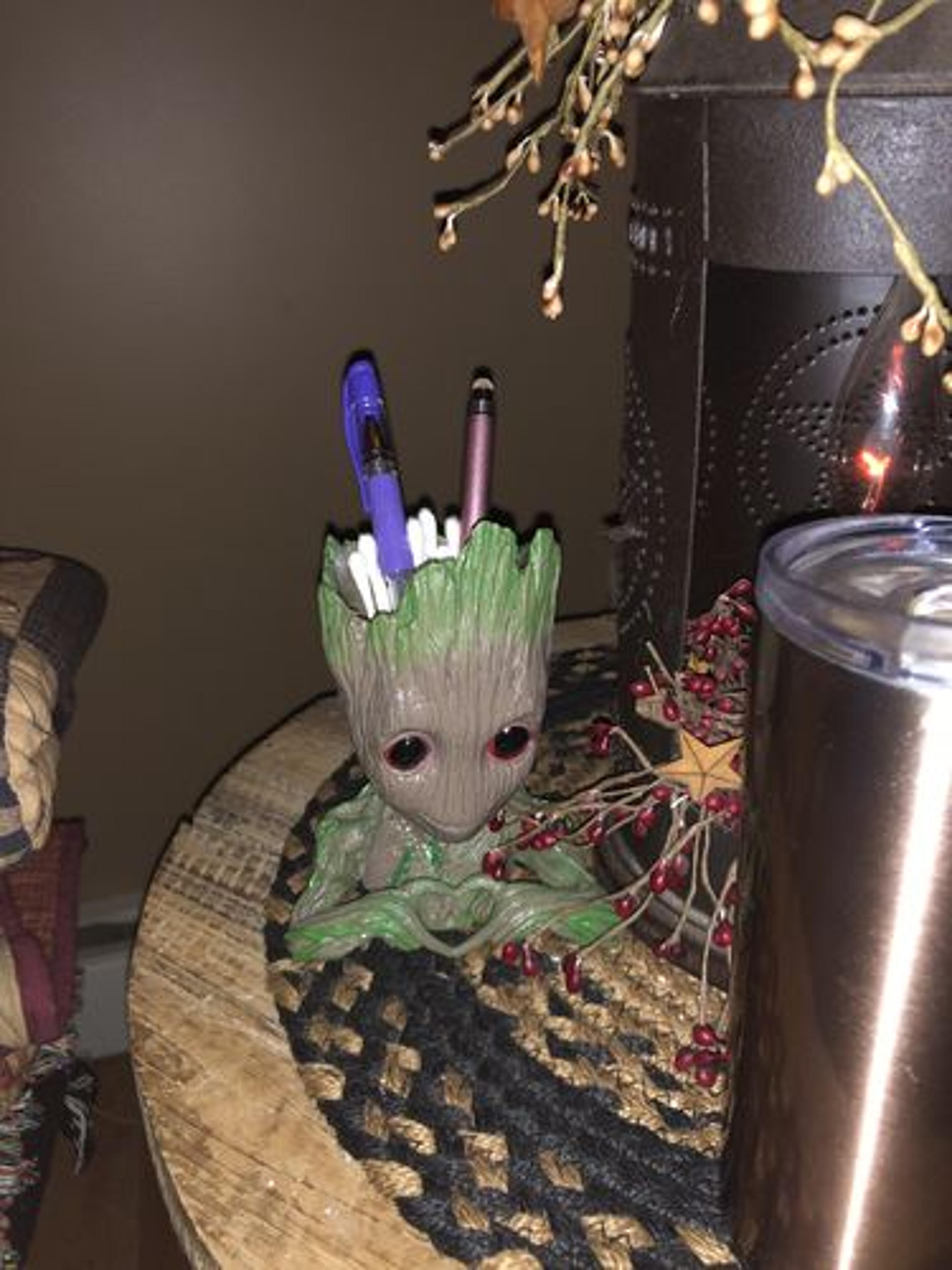 Customer Review Photo