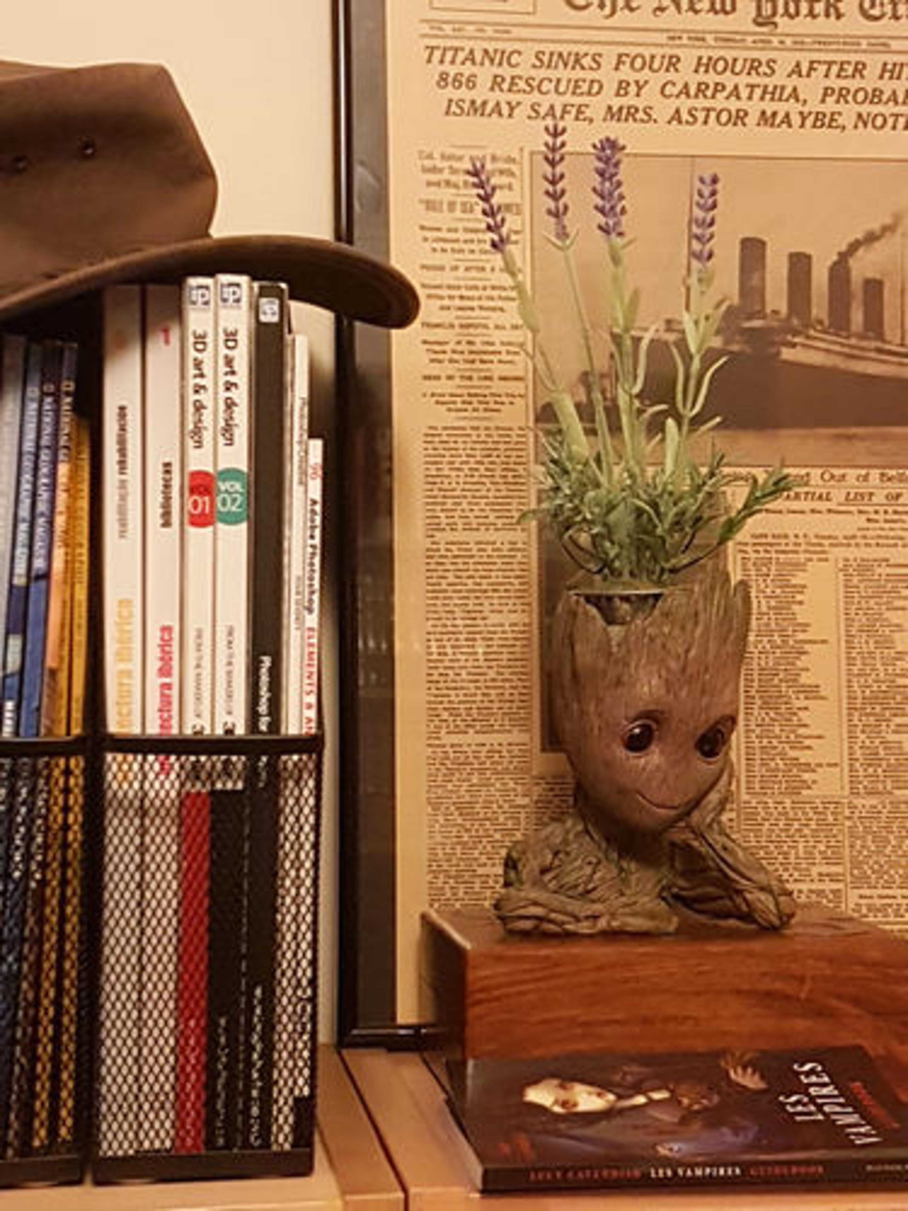 Customer Review Photo