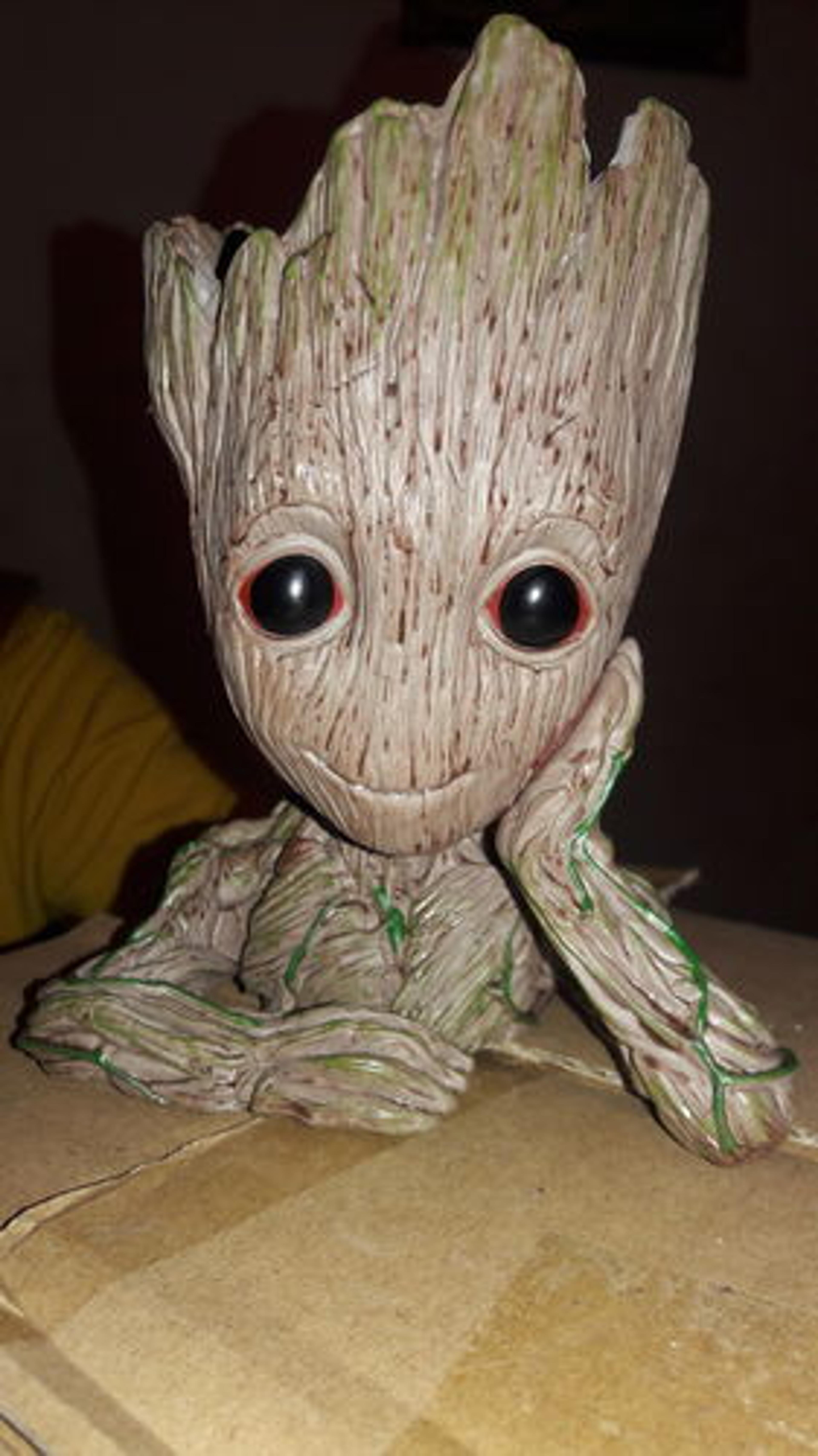 Customer Review Photo