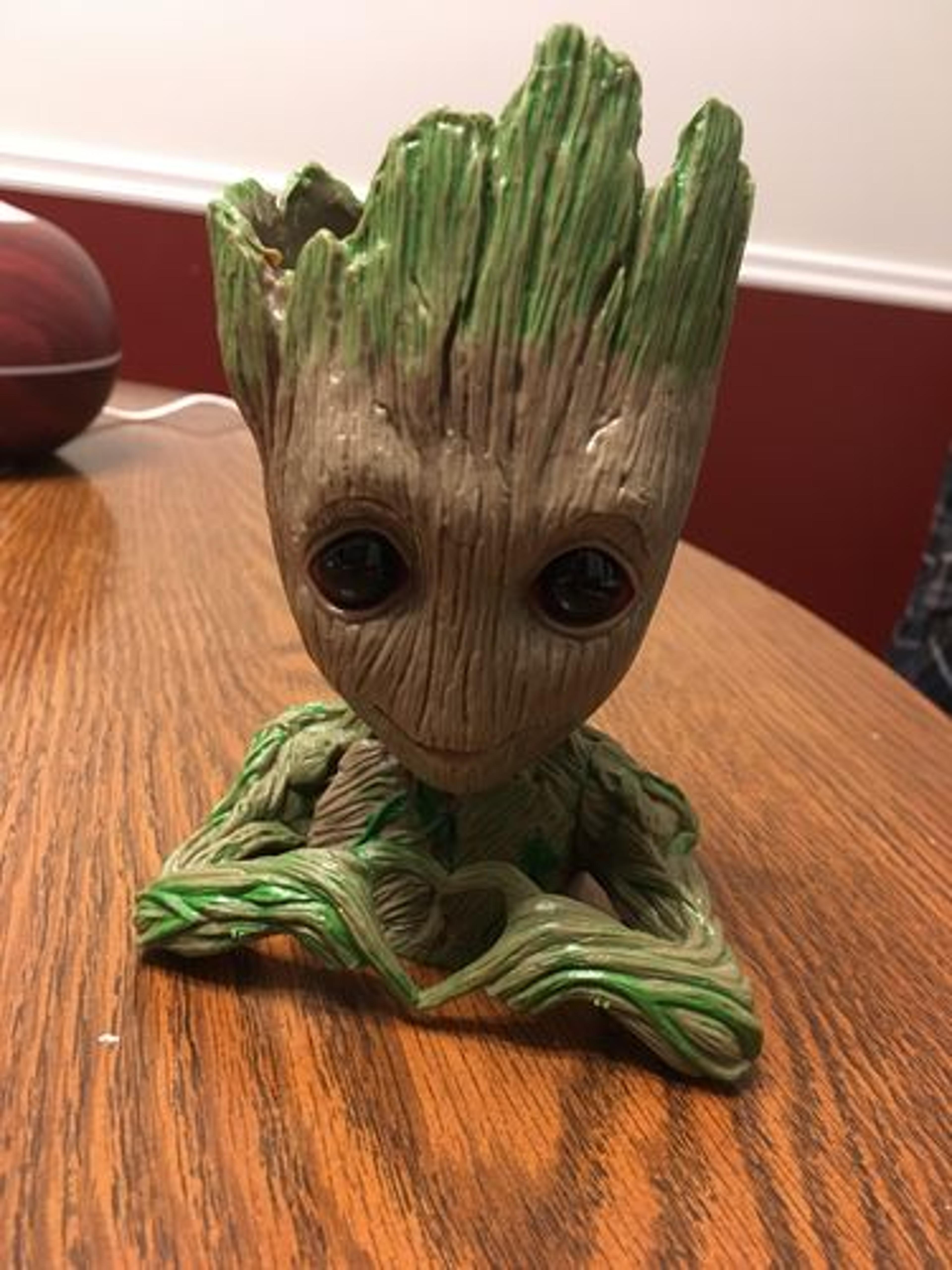 Customer Review Photo