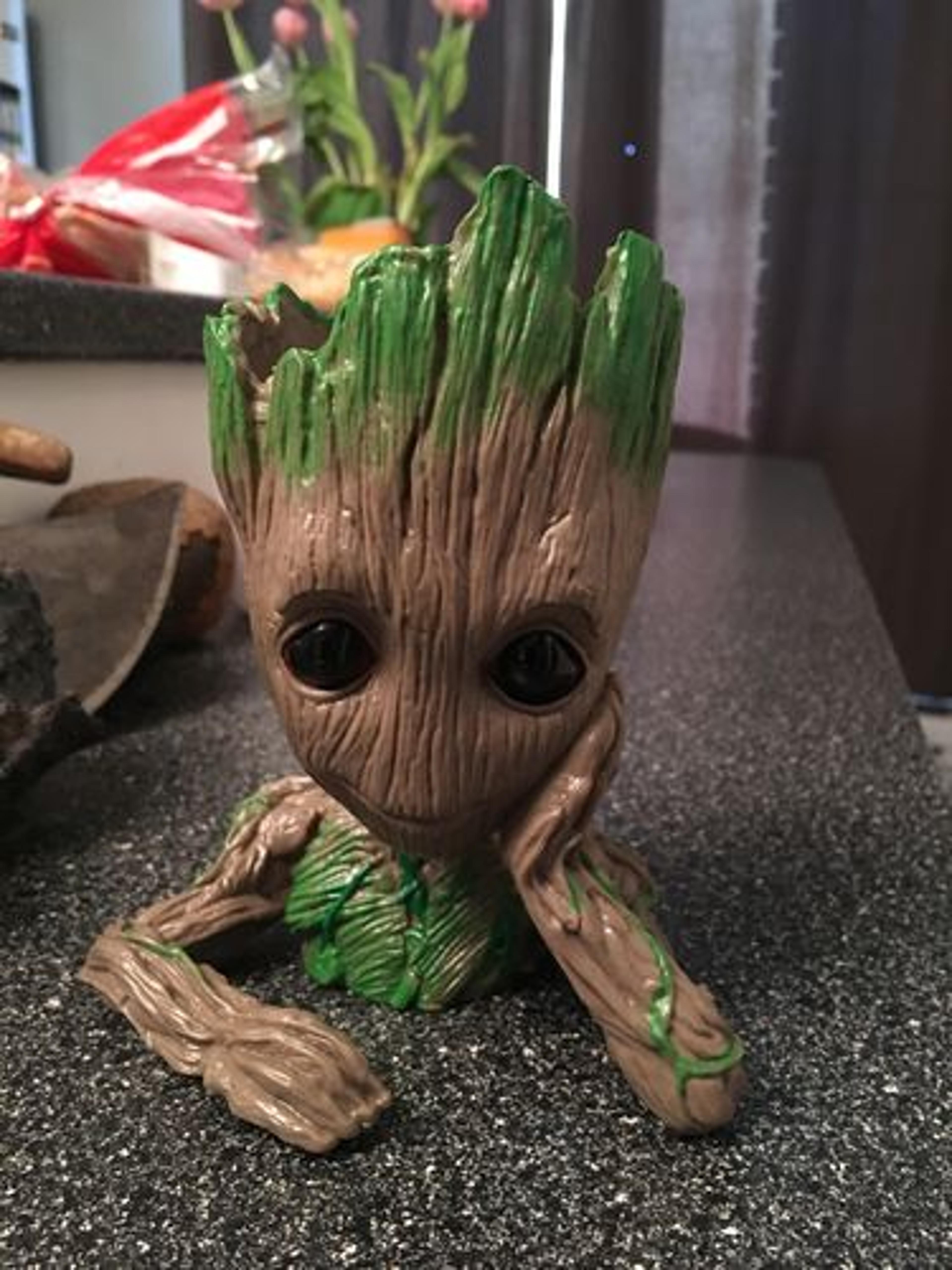 Customer Review Photo