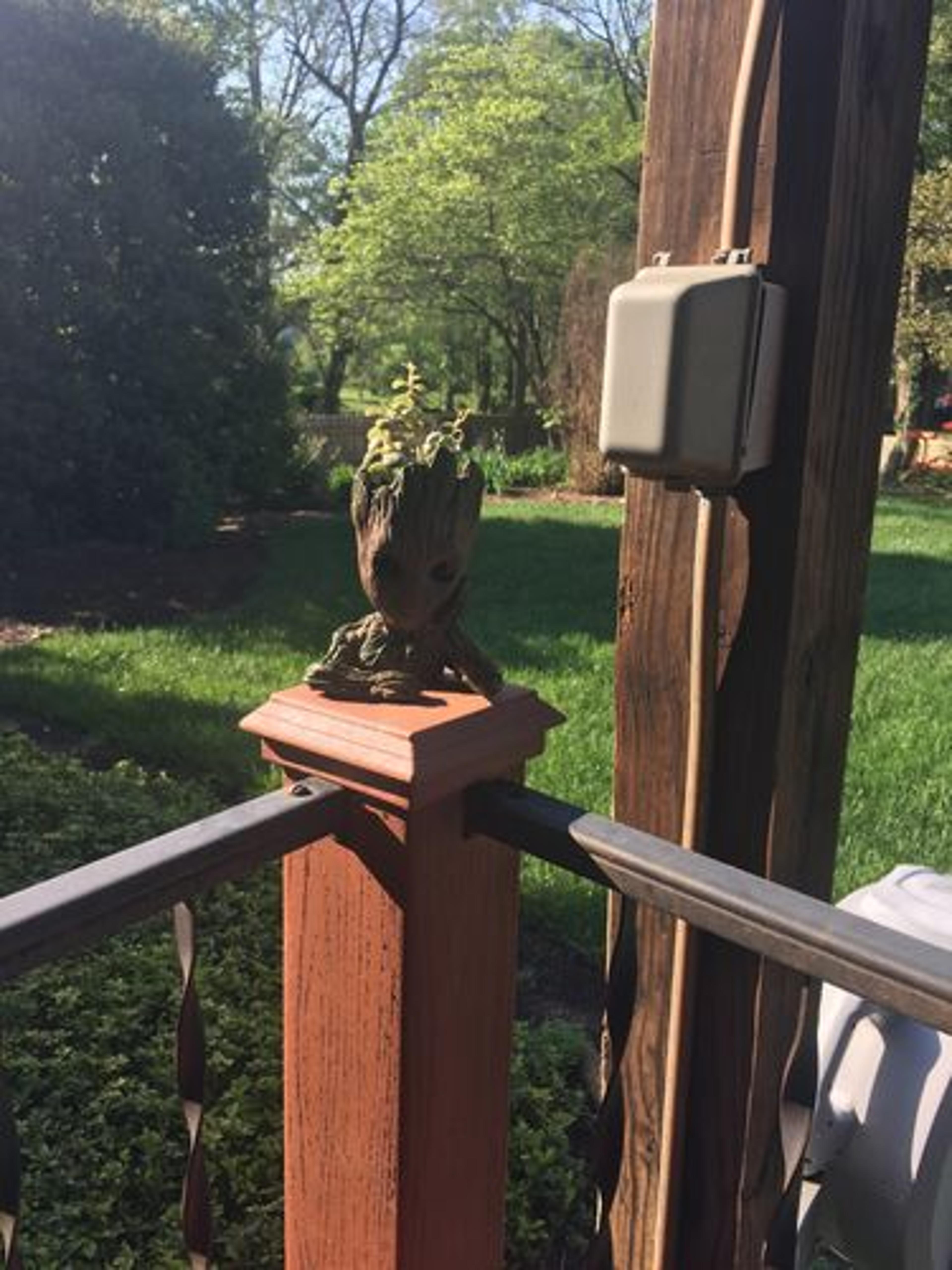 Customer Review Photo