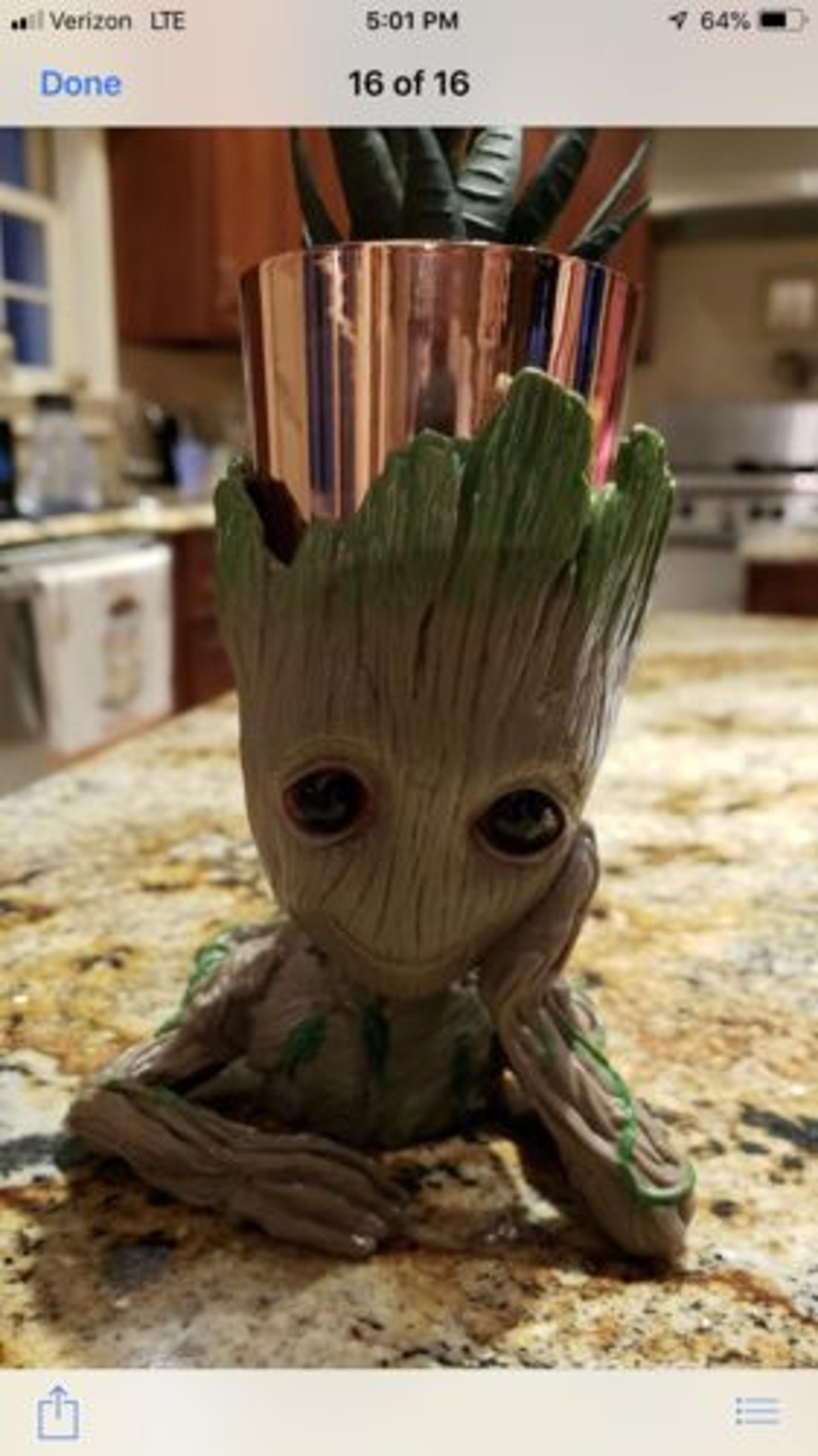 Customer Review Photo