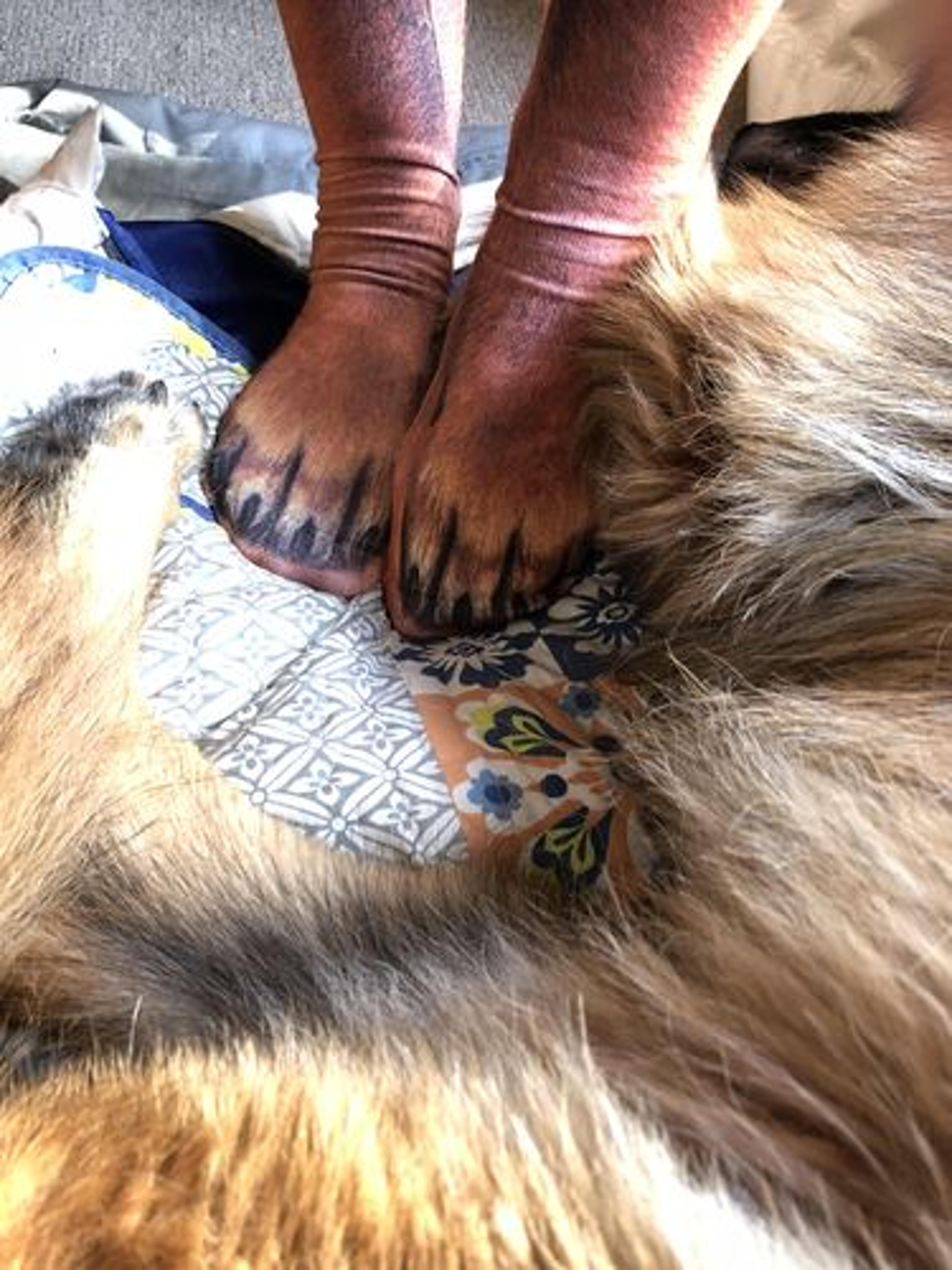 Customer Review Photo