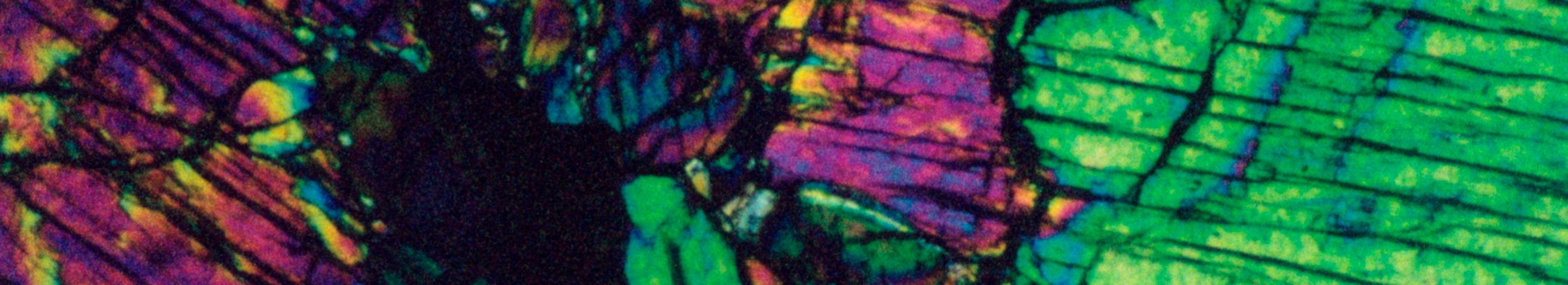 Shop cover image