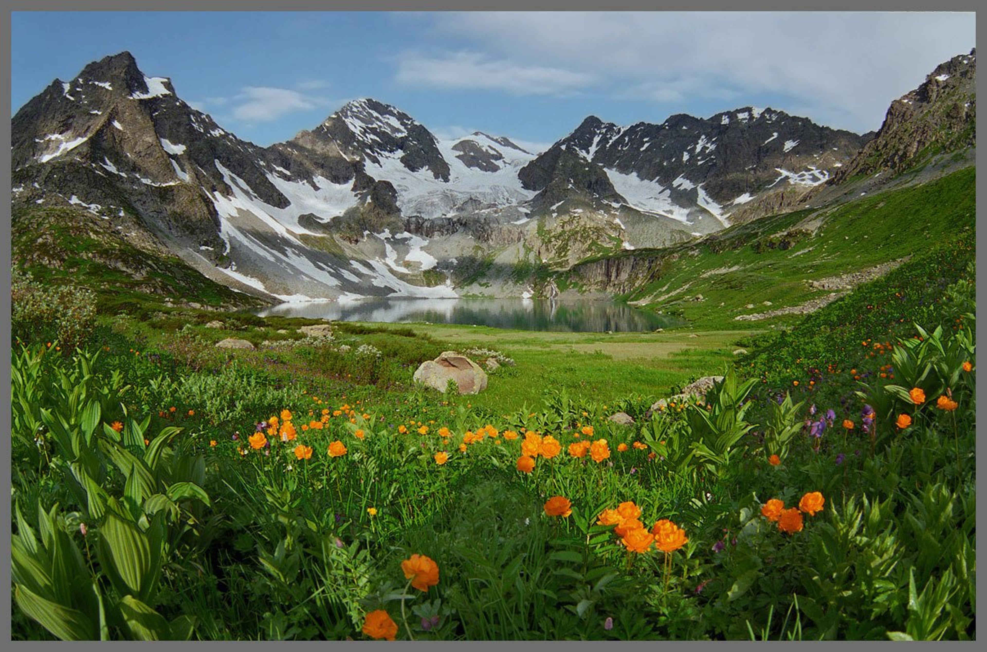 Shop cover image