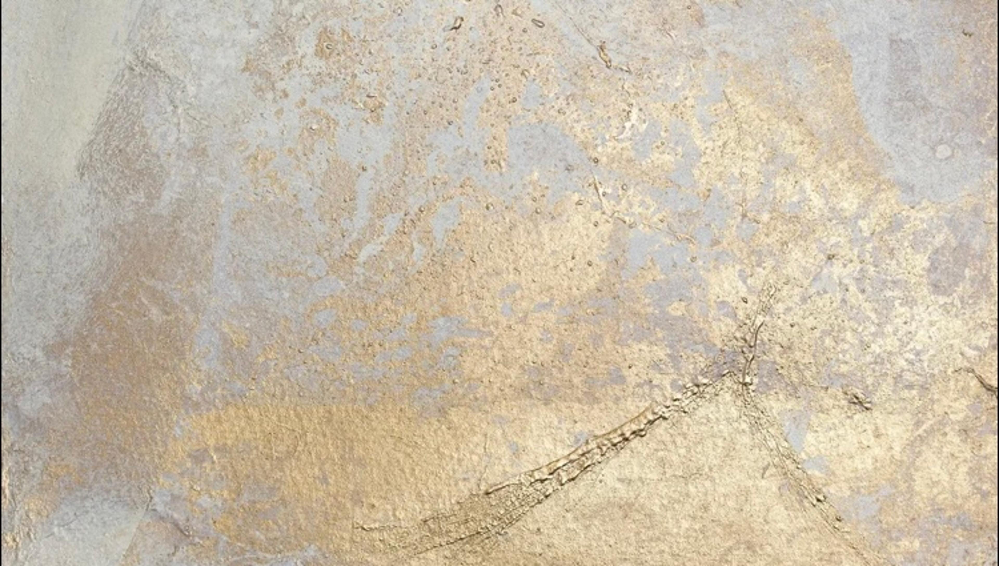 Shop cover image