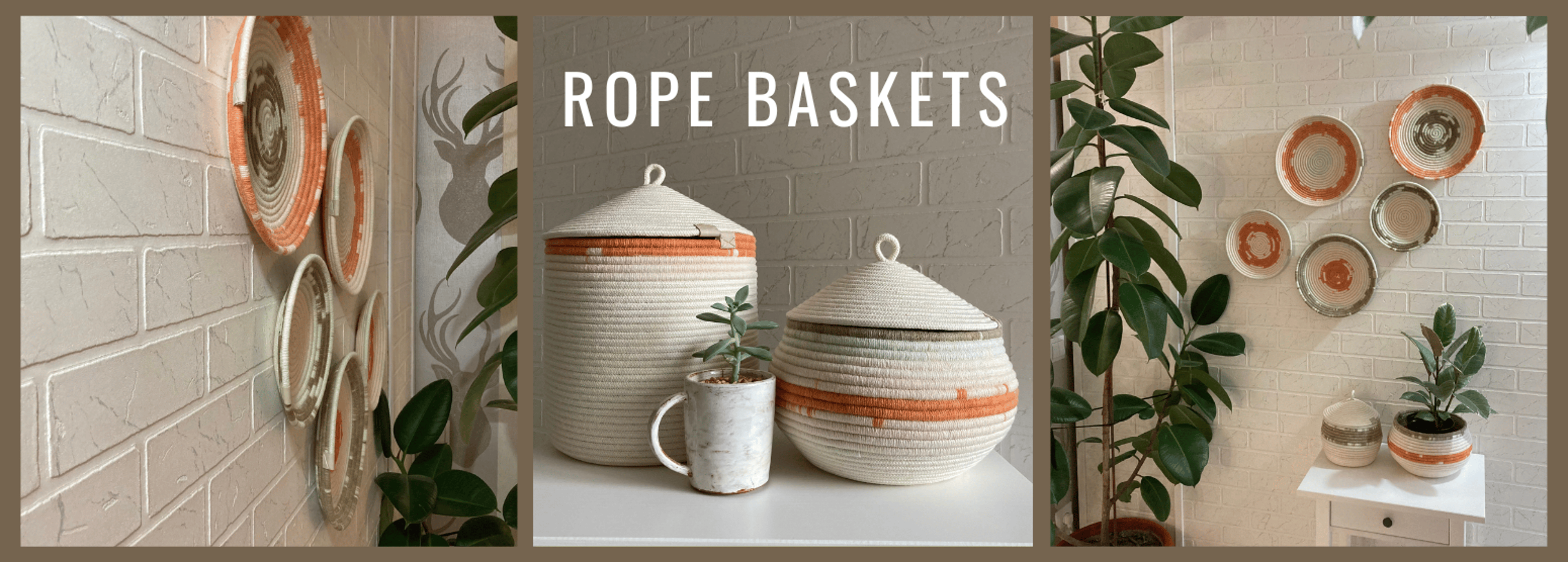 Shop cover image