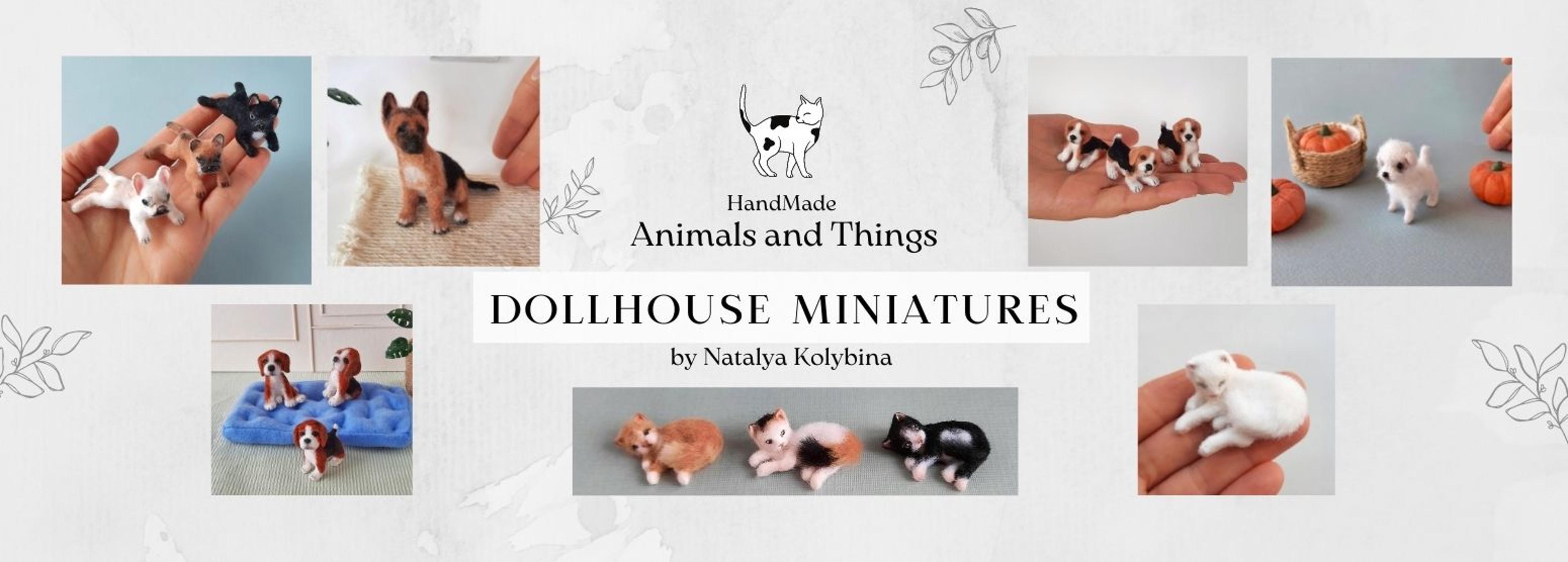 Shop cover image
