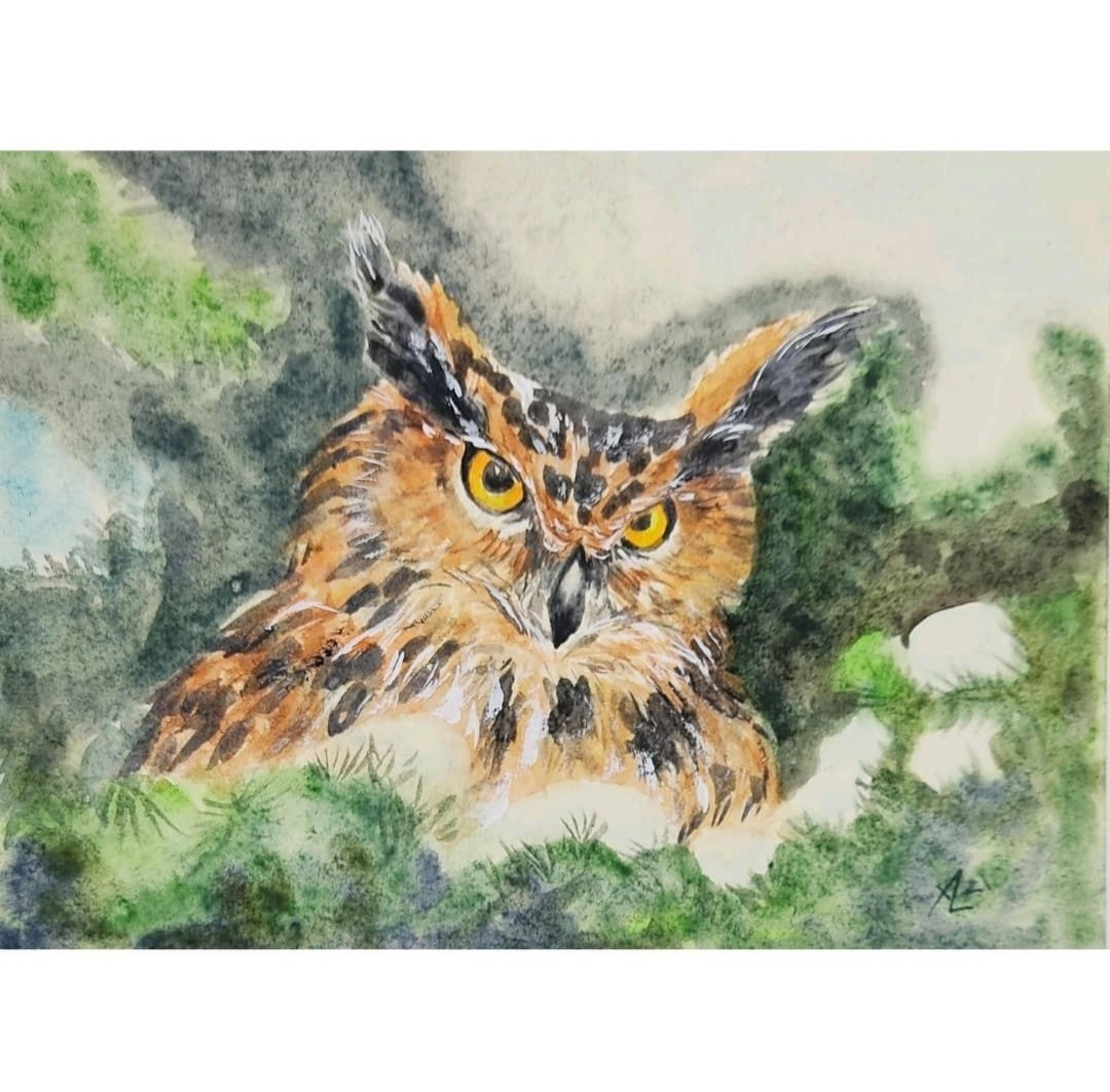 Shop cover image