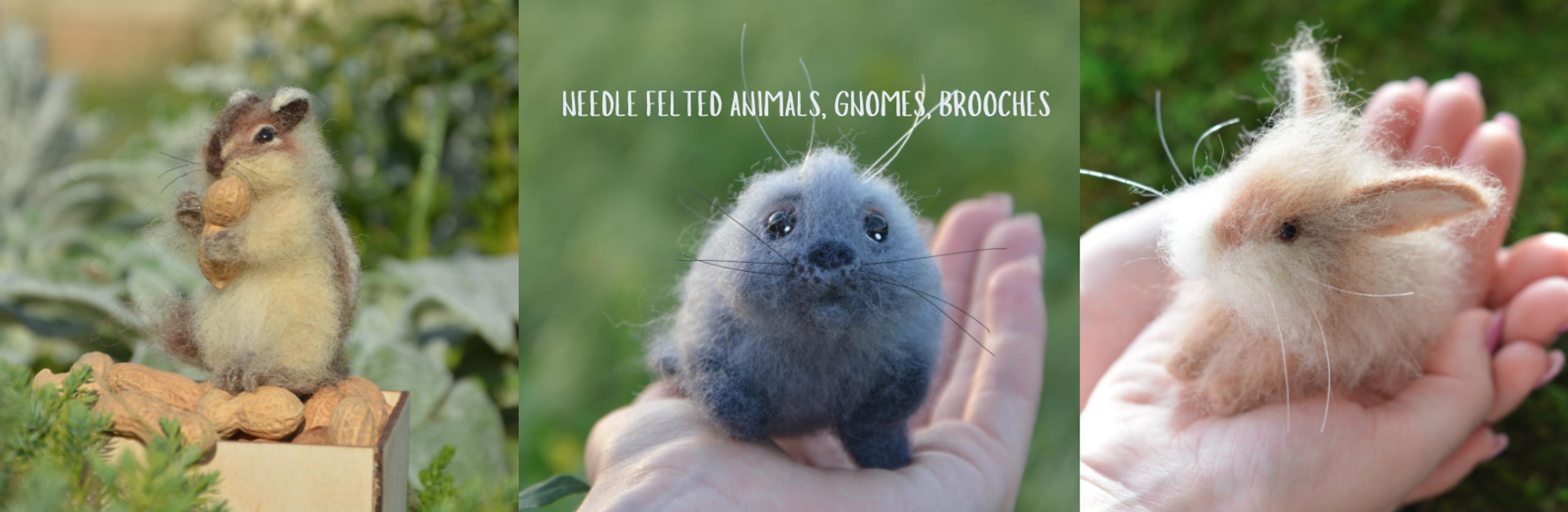 Shop cover image
