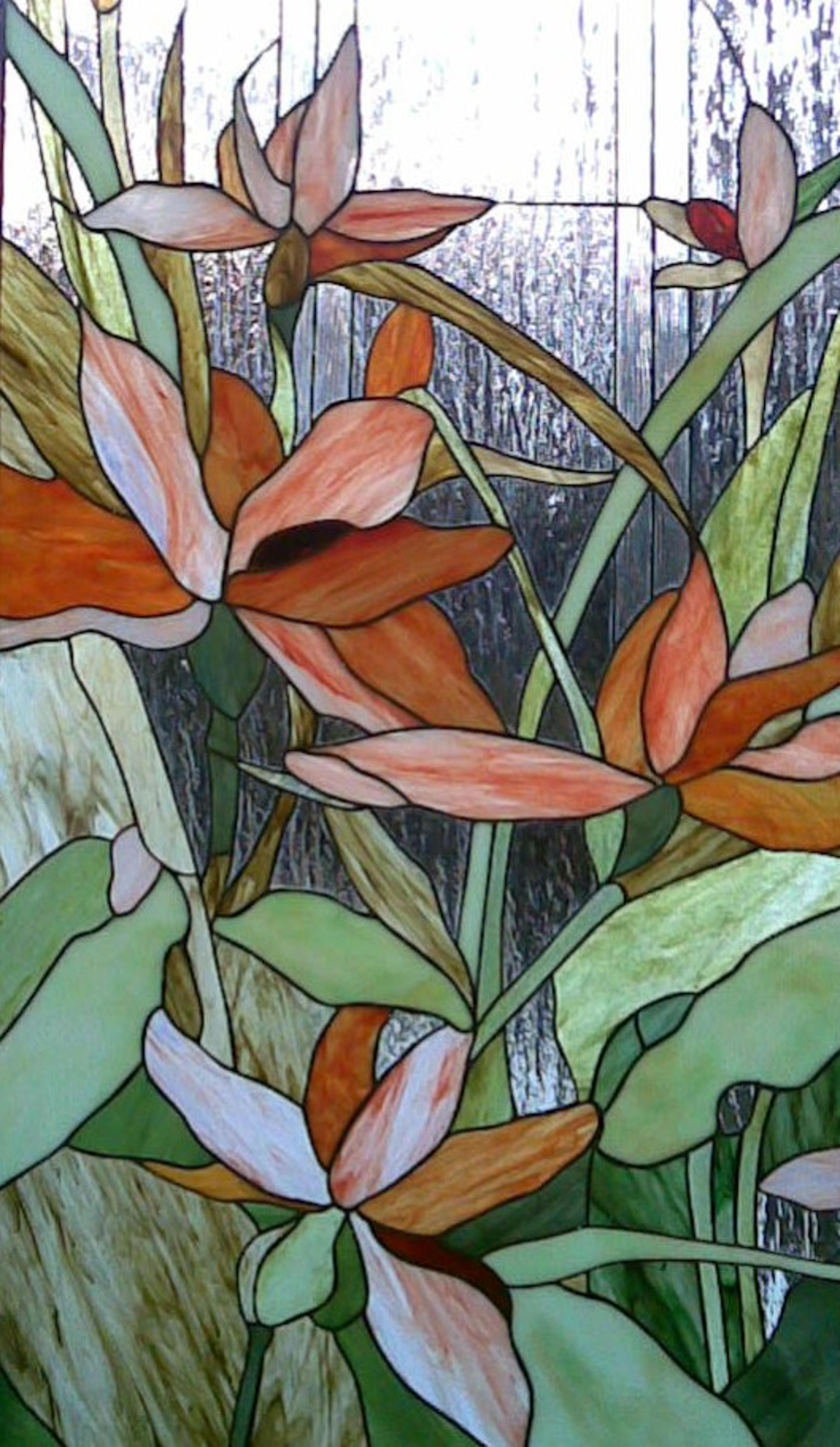 Shop cover image