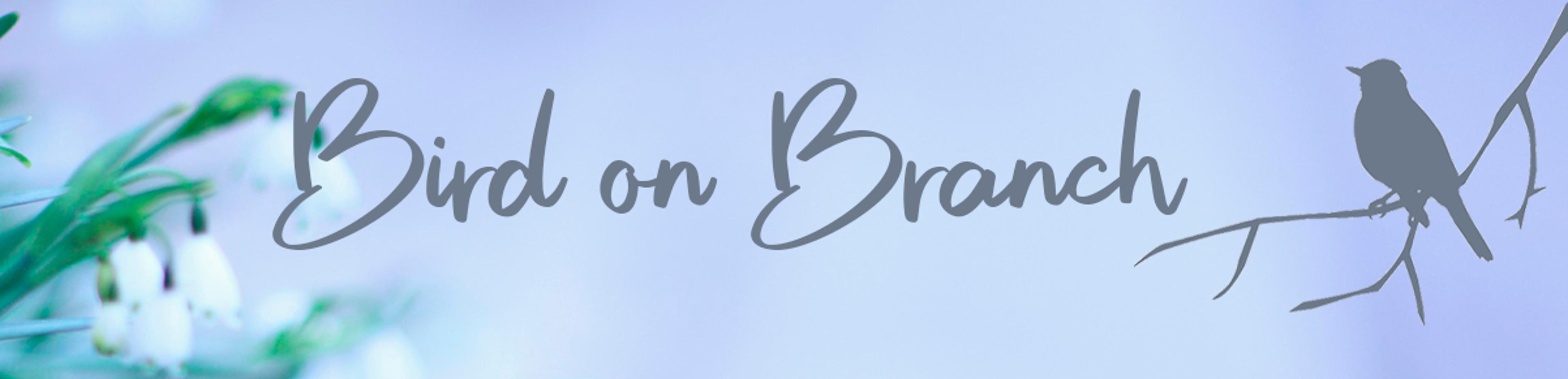 Shop cover image