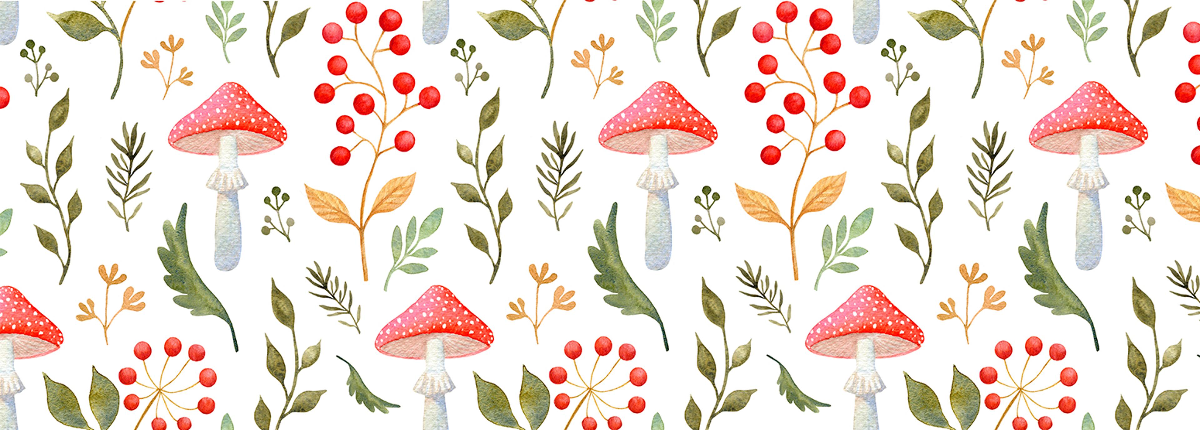 Shop cover image
