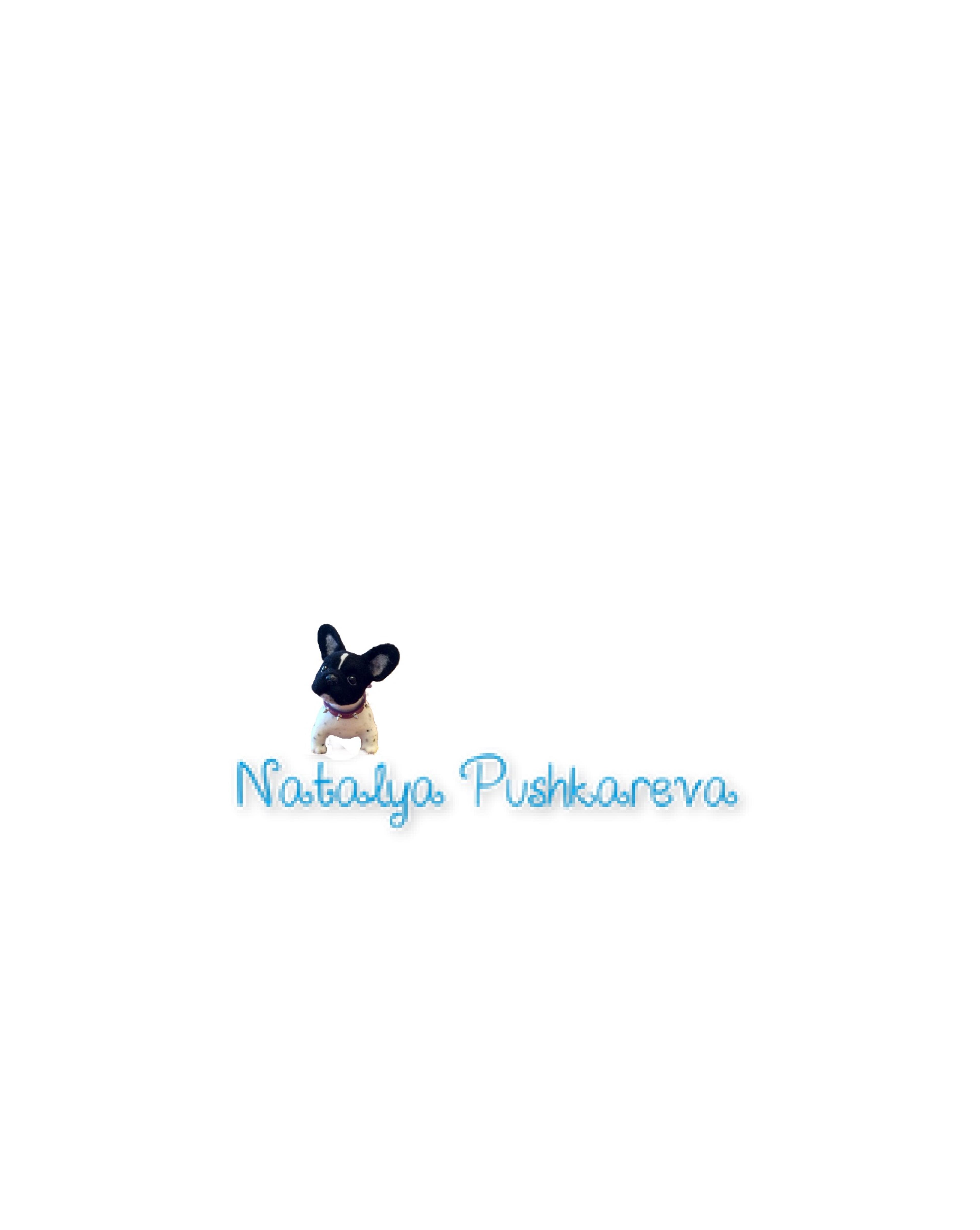 Shop cover image