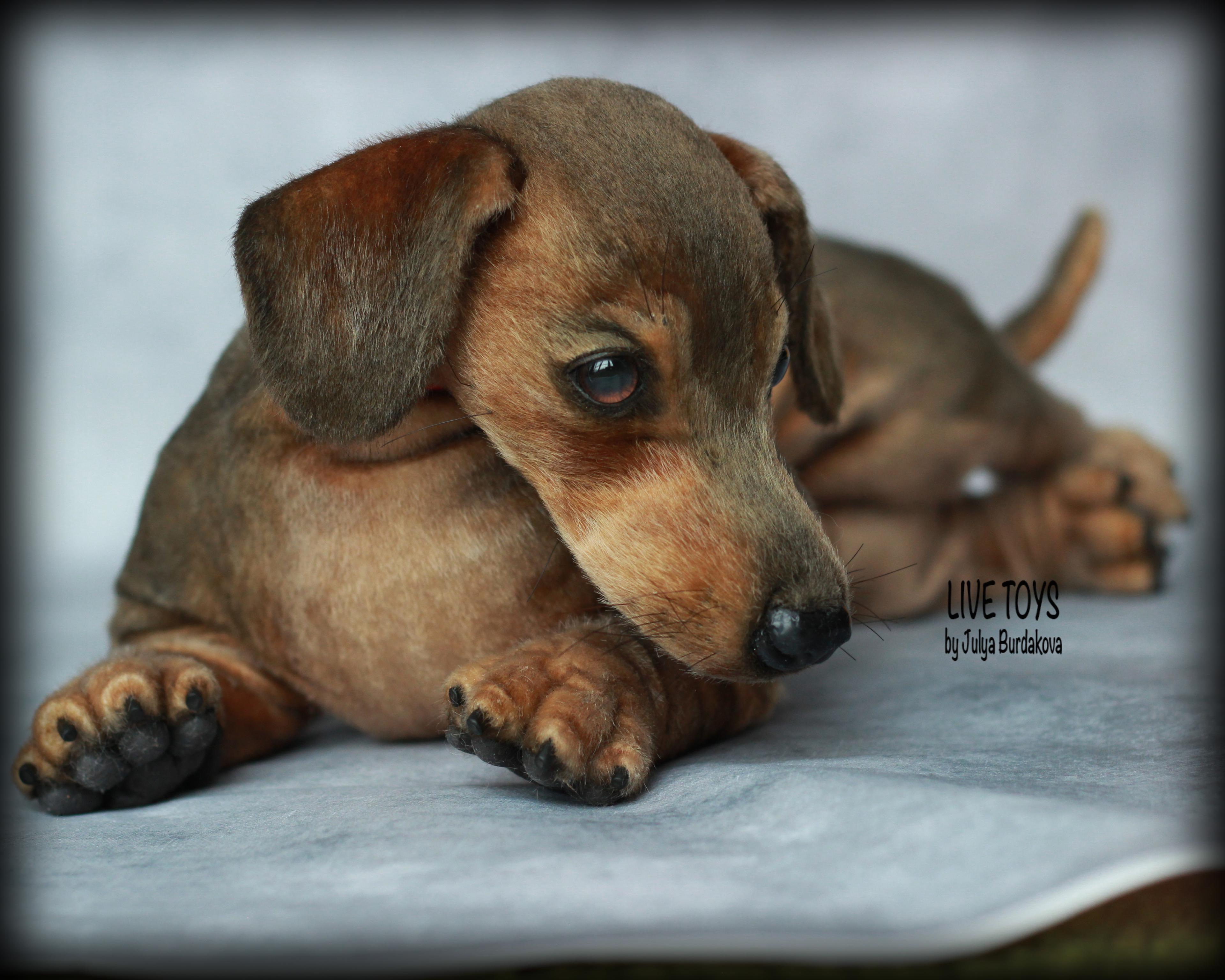 Shop cover image