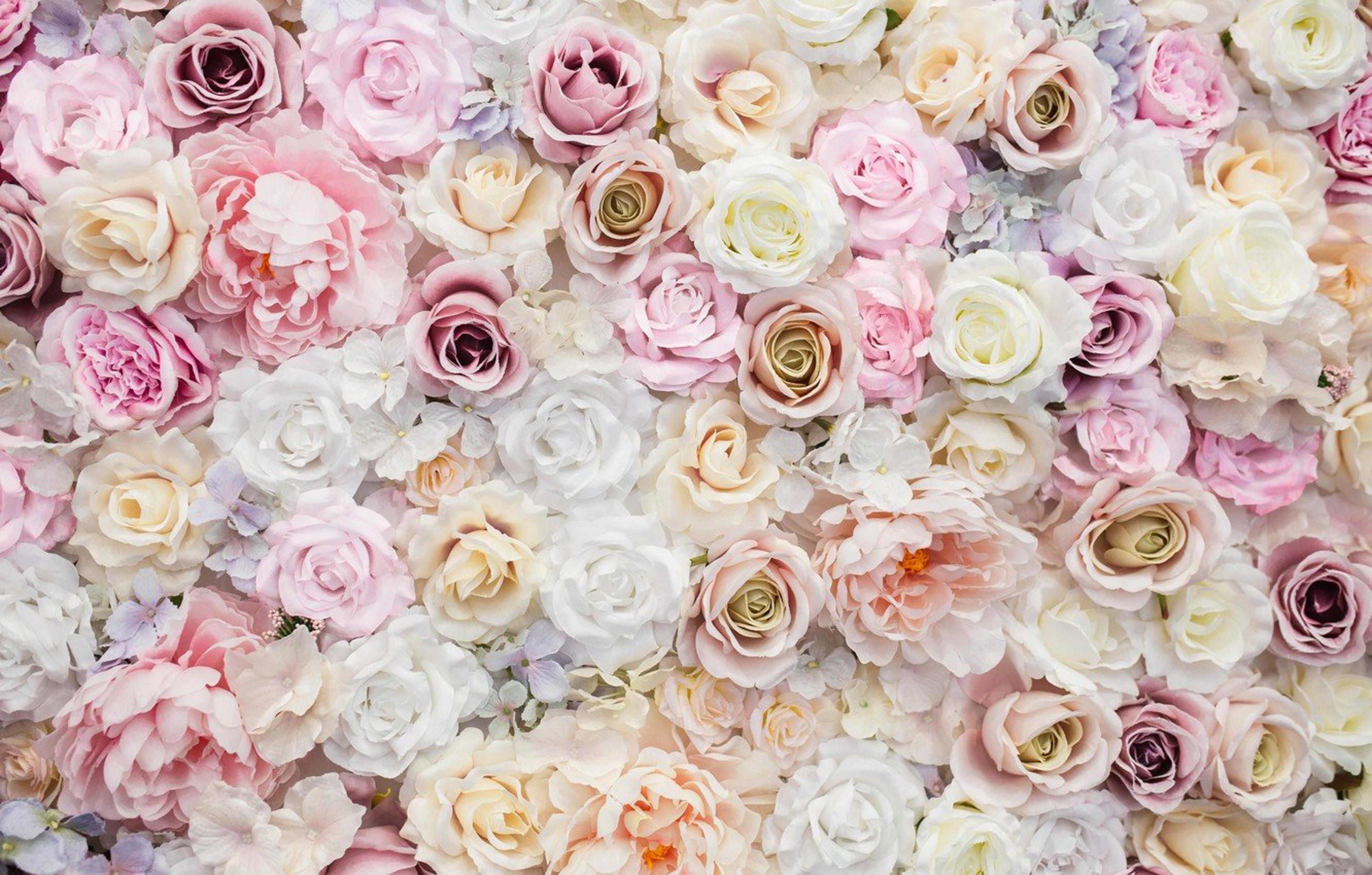 Shop cover image