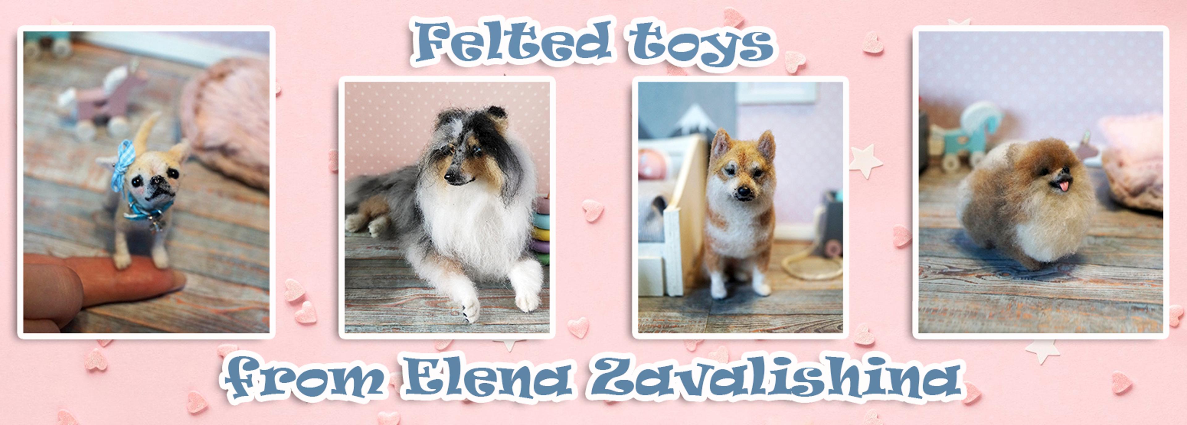 Shop cover image