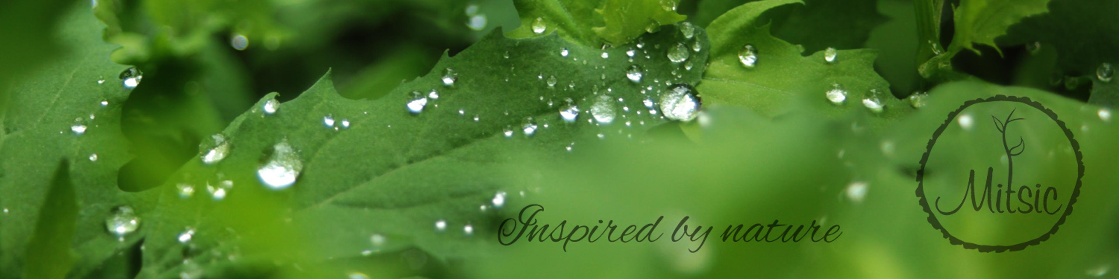 Shop cover image
